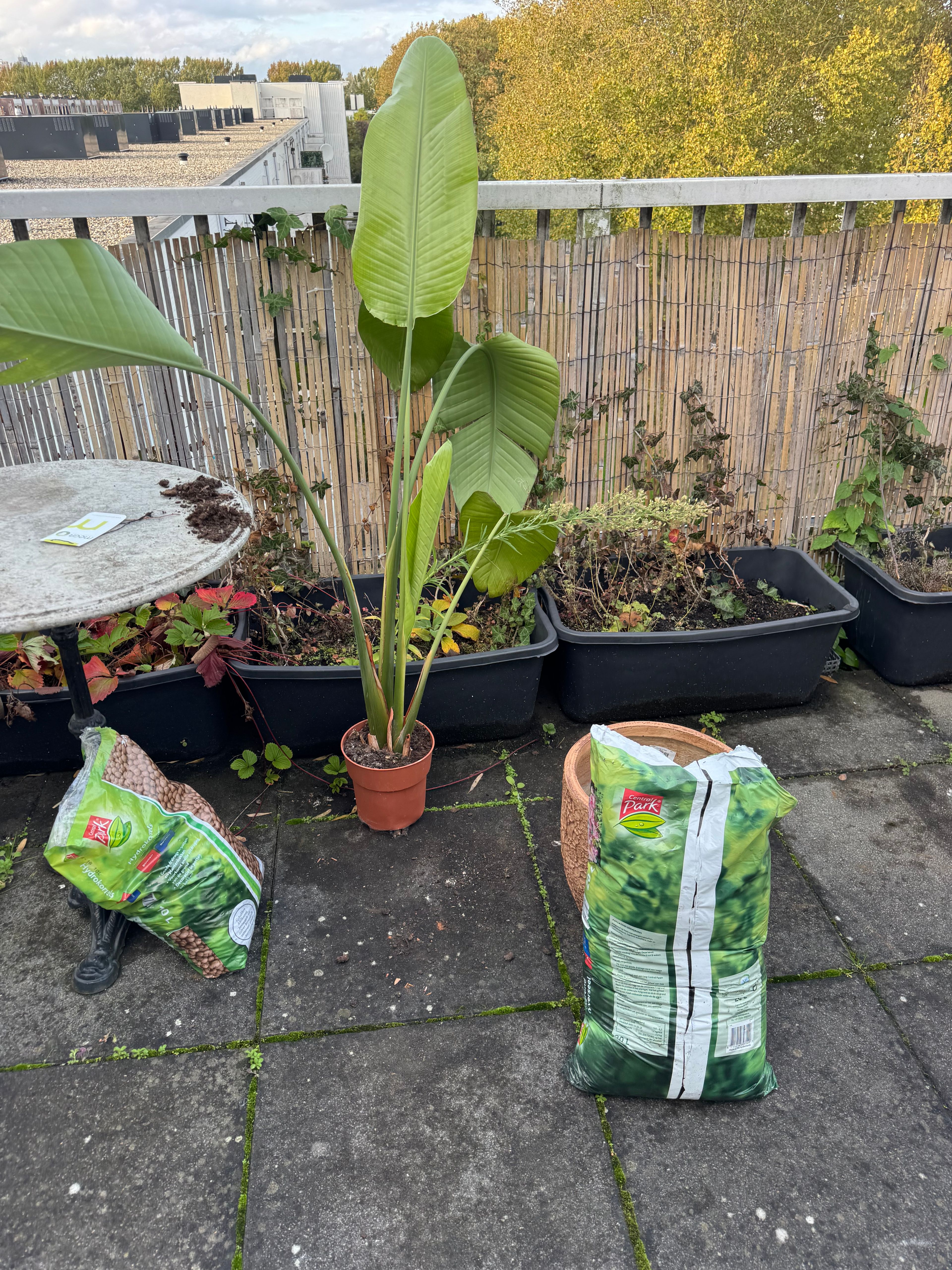 image-17