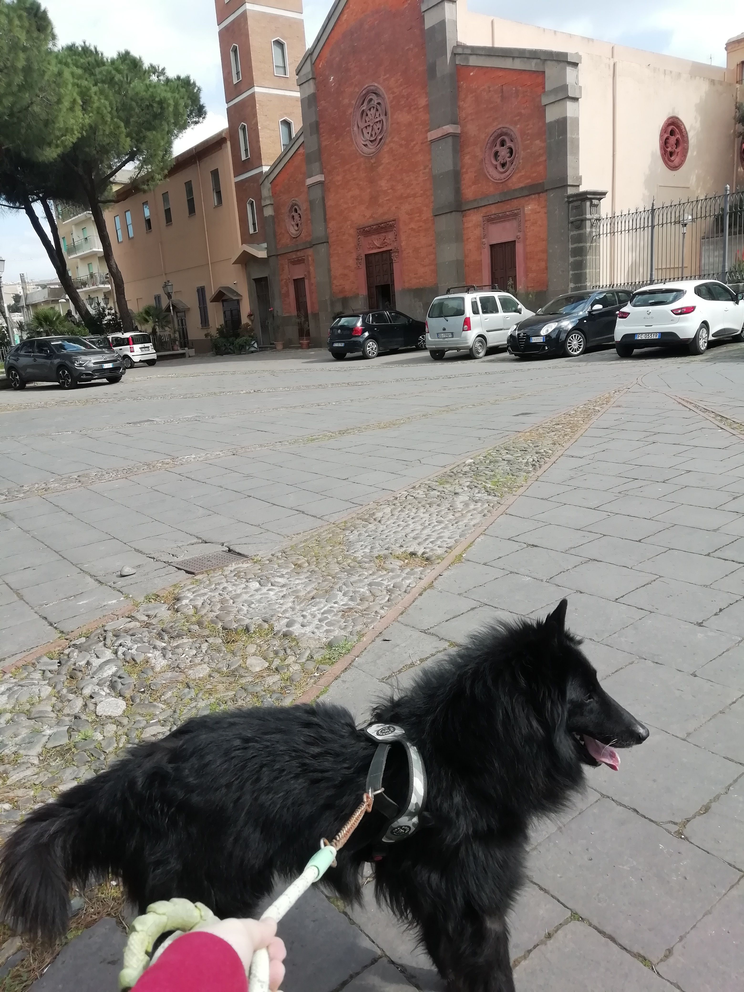 image-7