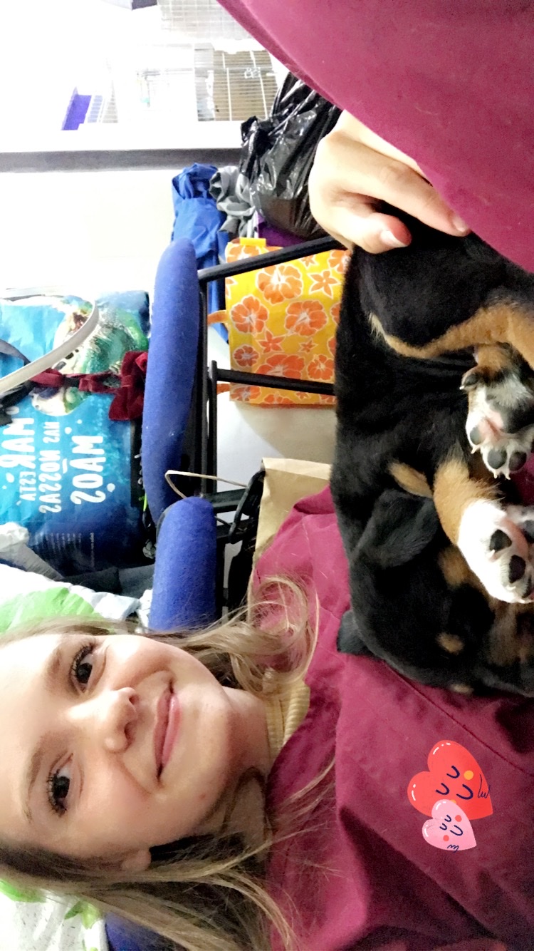image-6