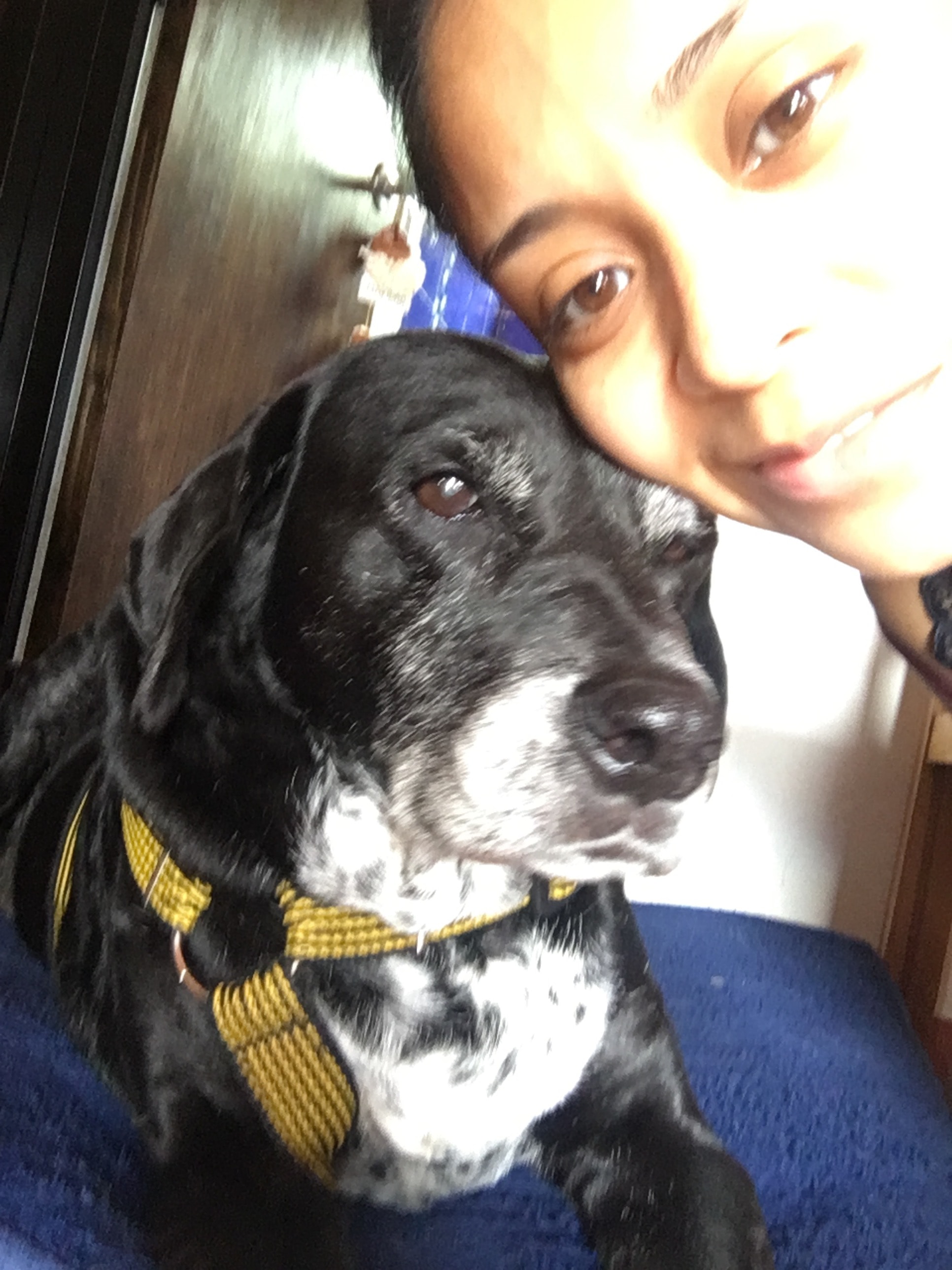 image-5