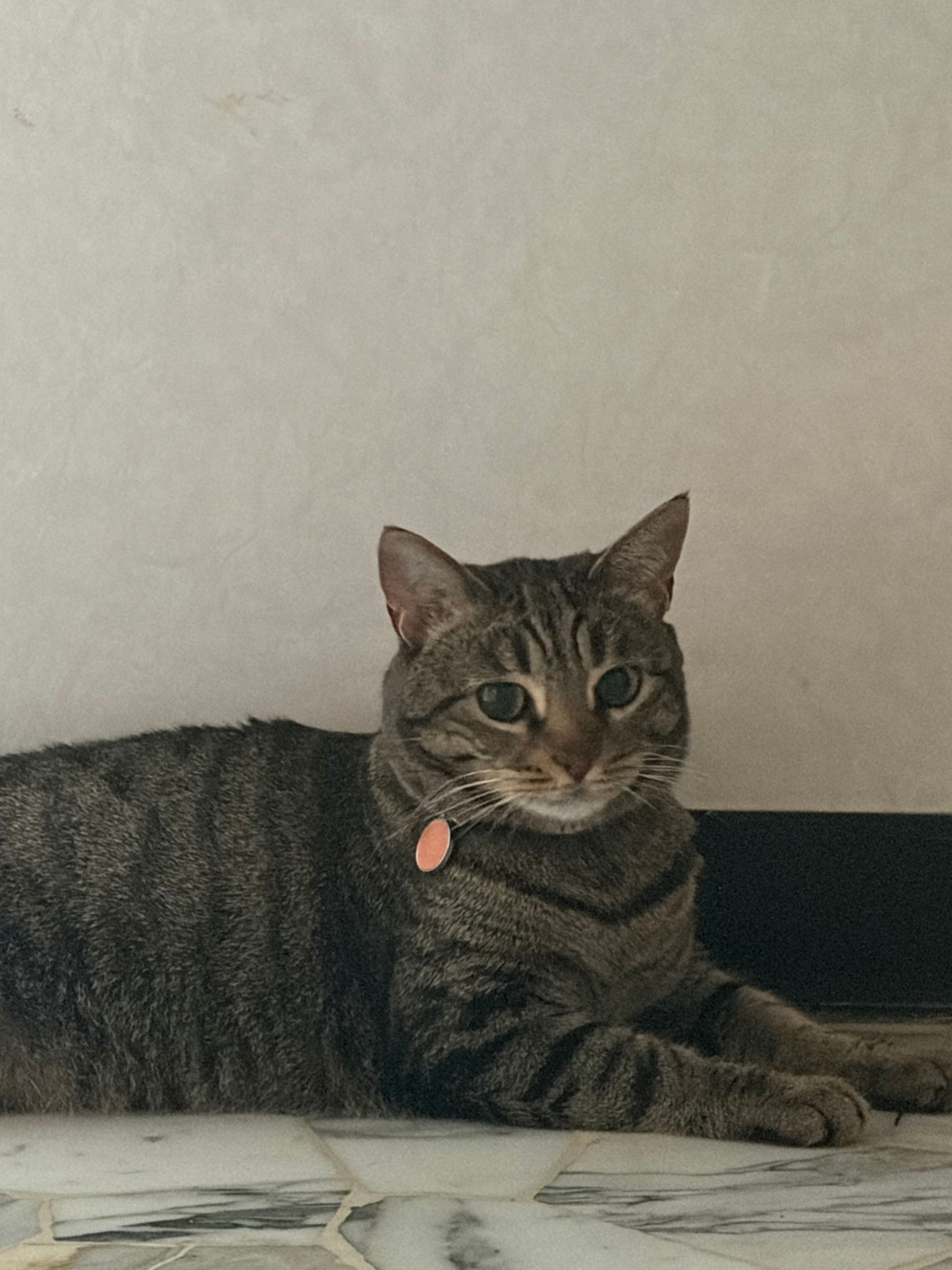 image-14