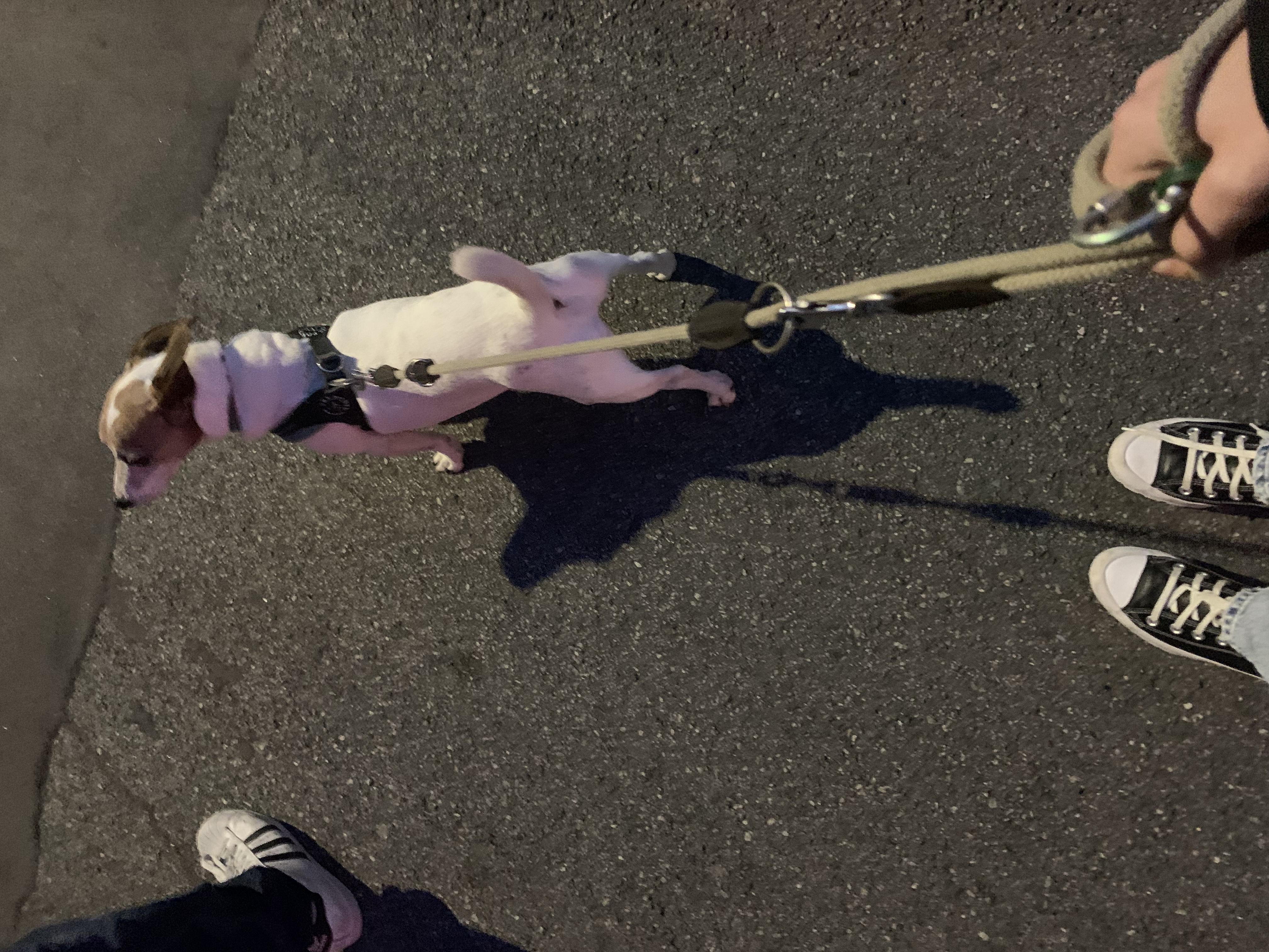 image-7