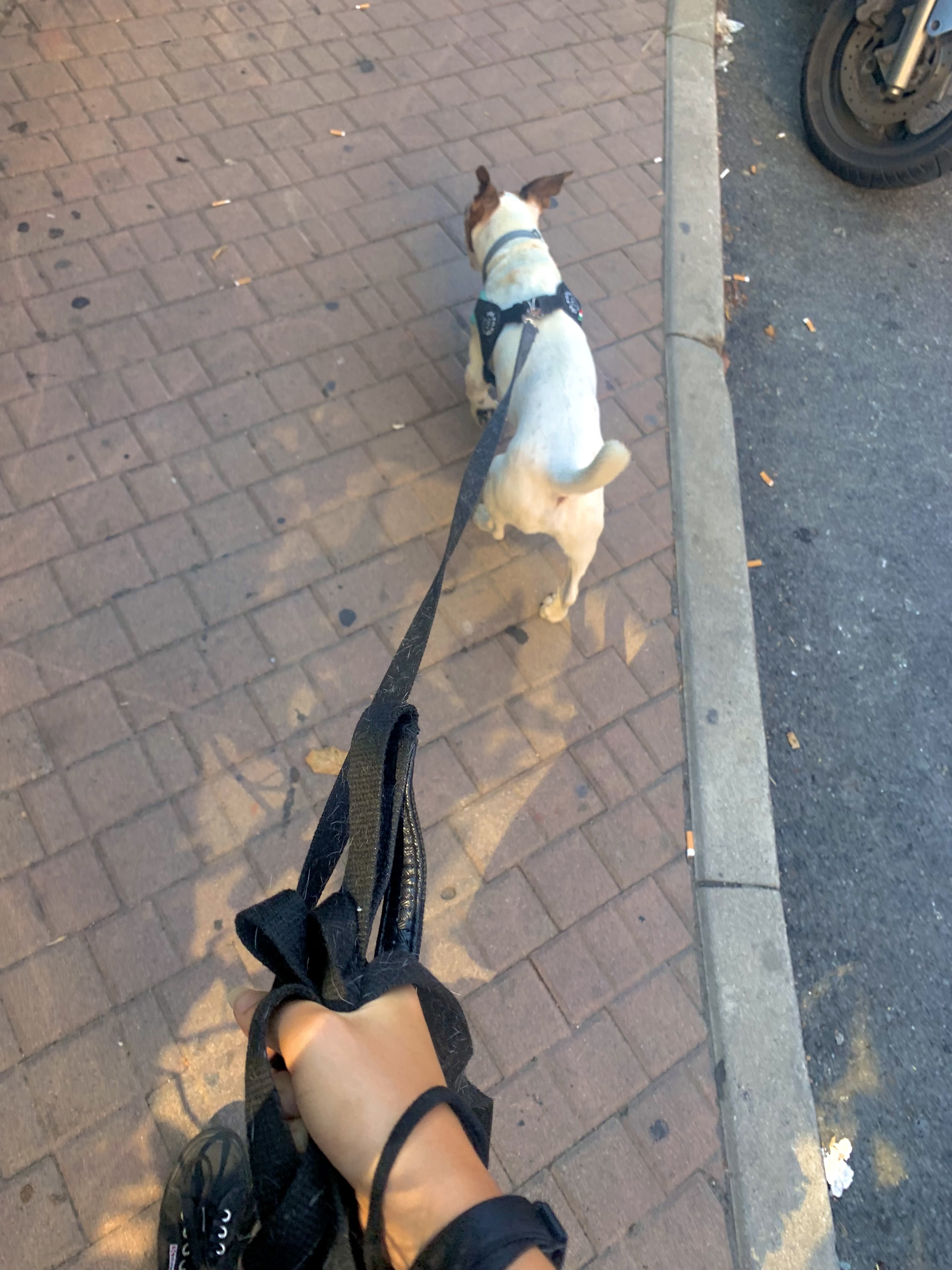 image-6