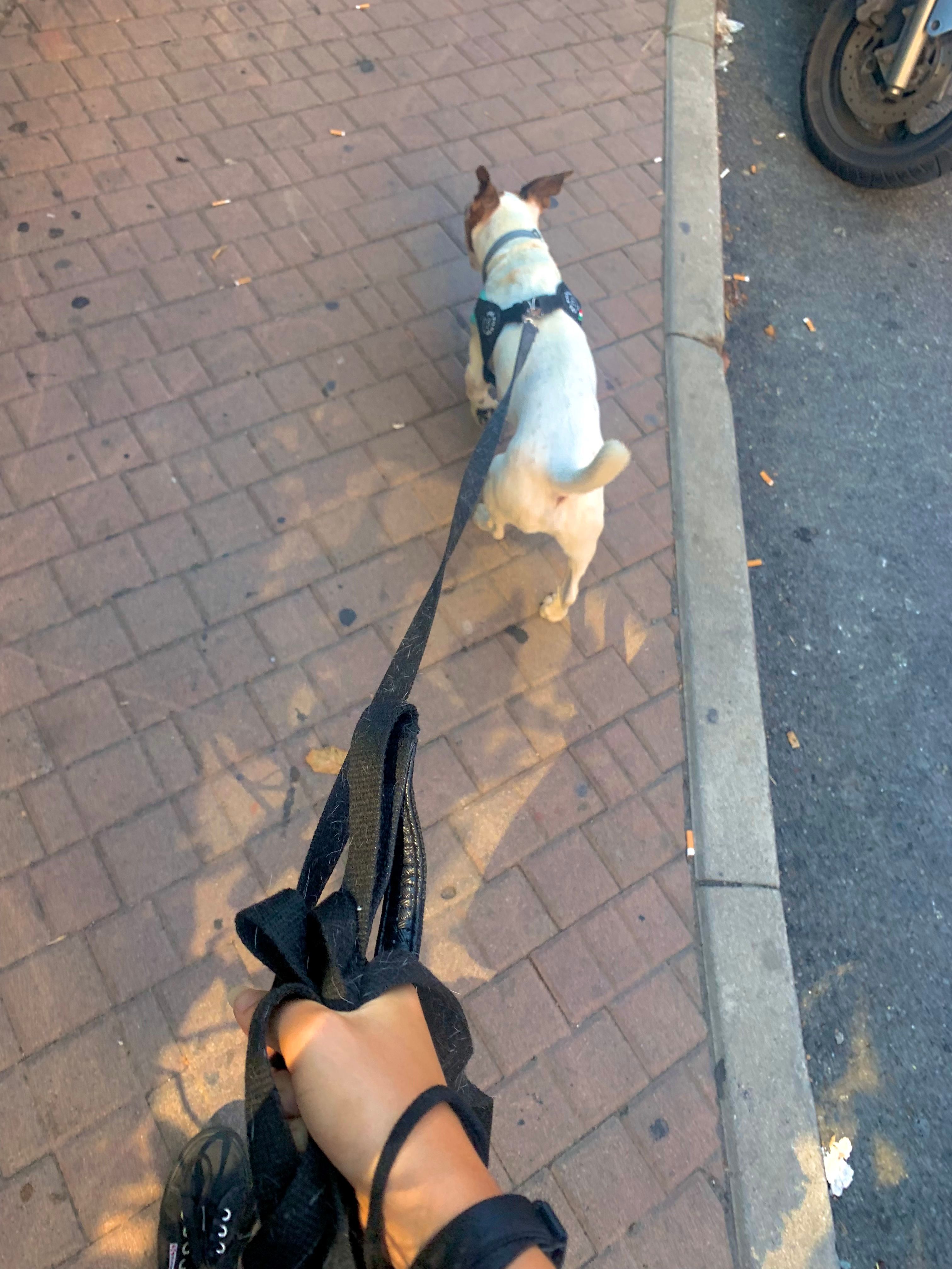 image-6