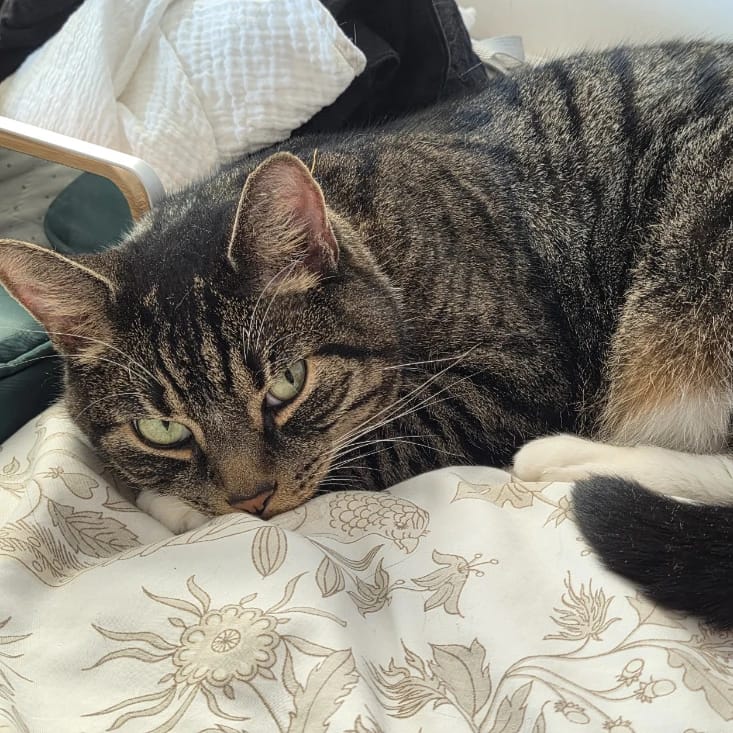 Milo