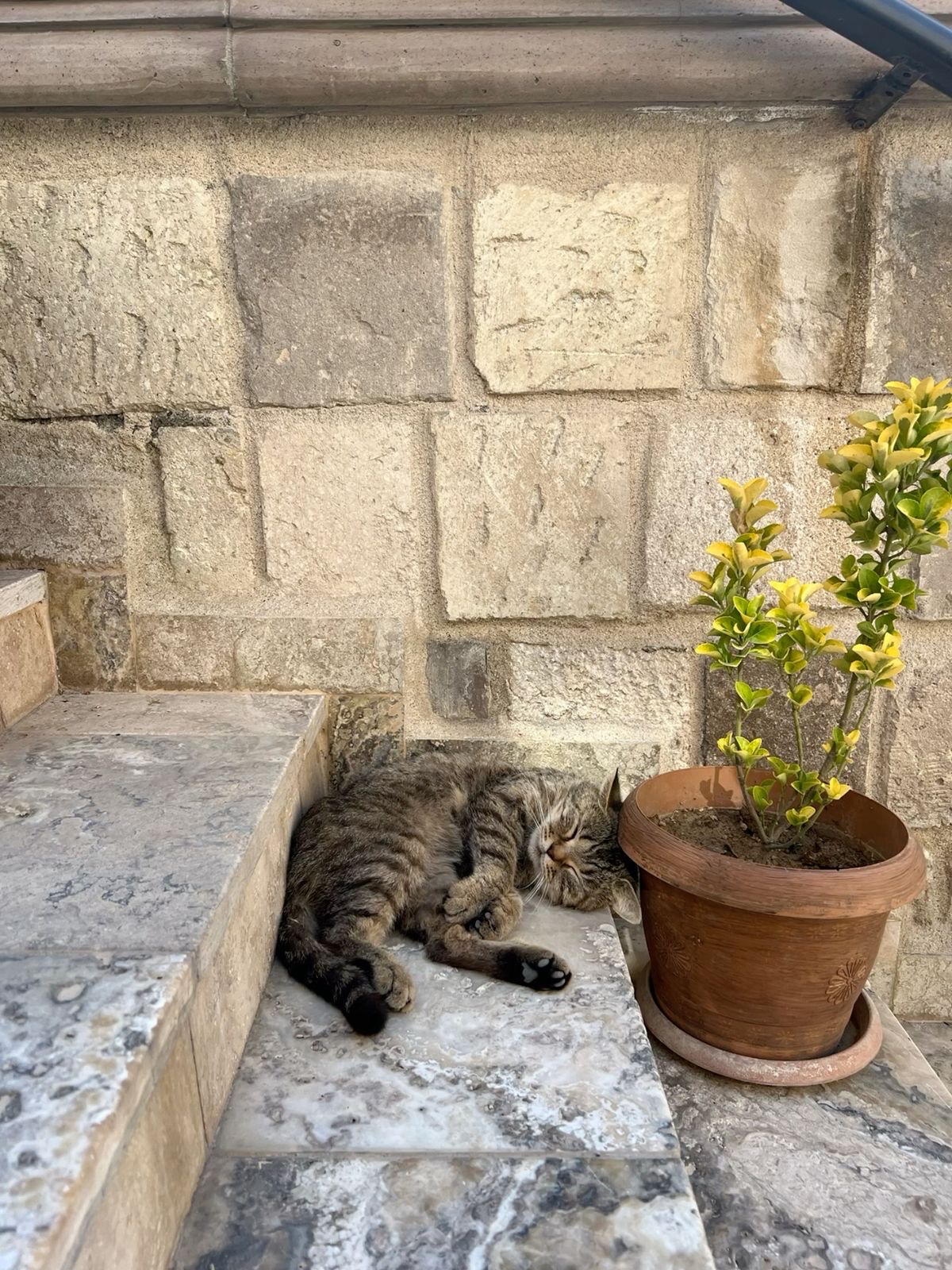 image-18