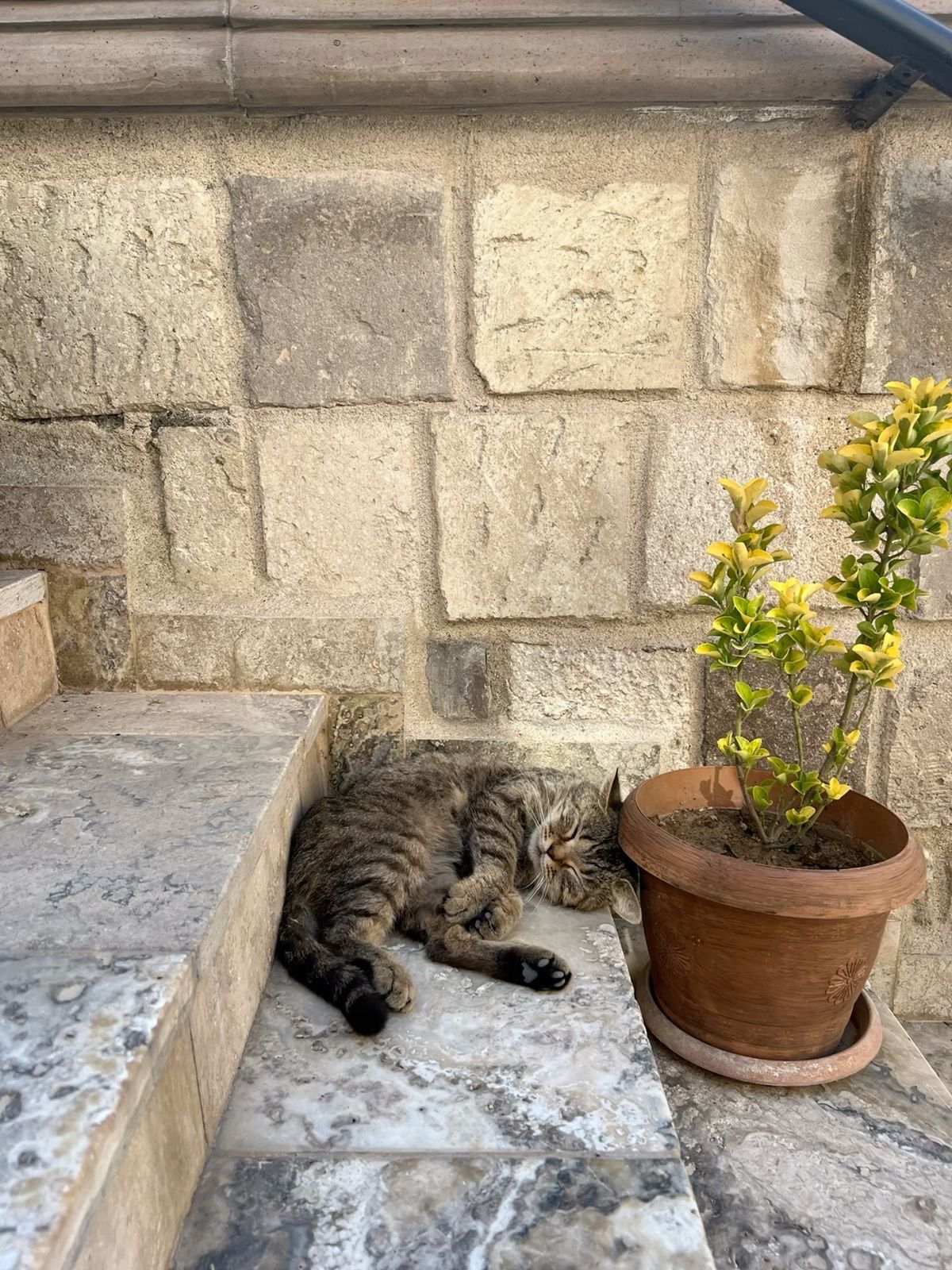 image-18