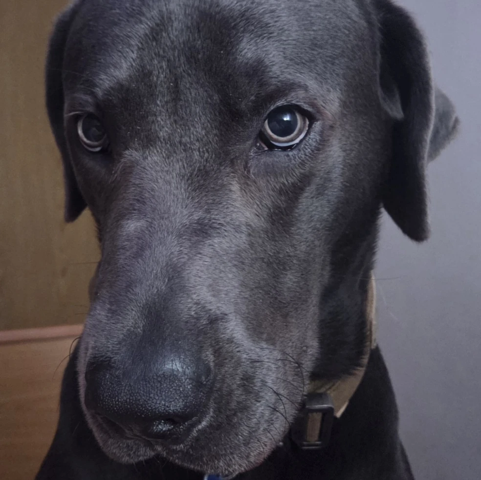 kai