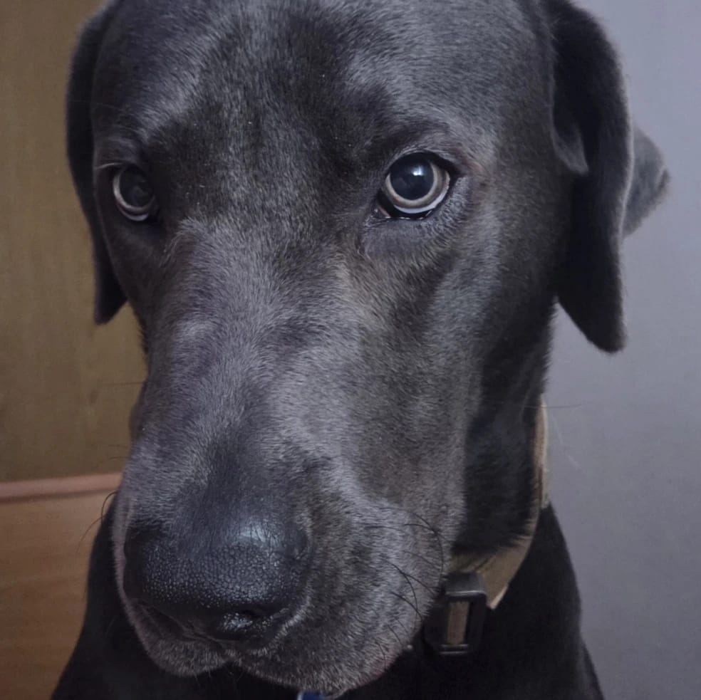 kai