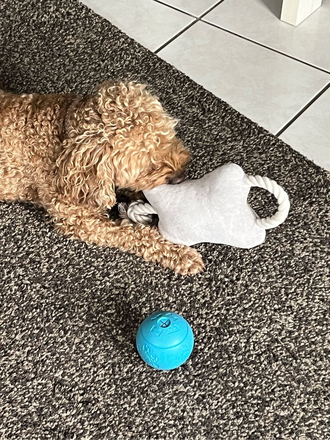 image-8