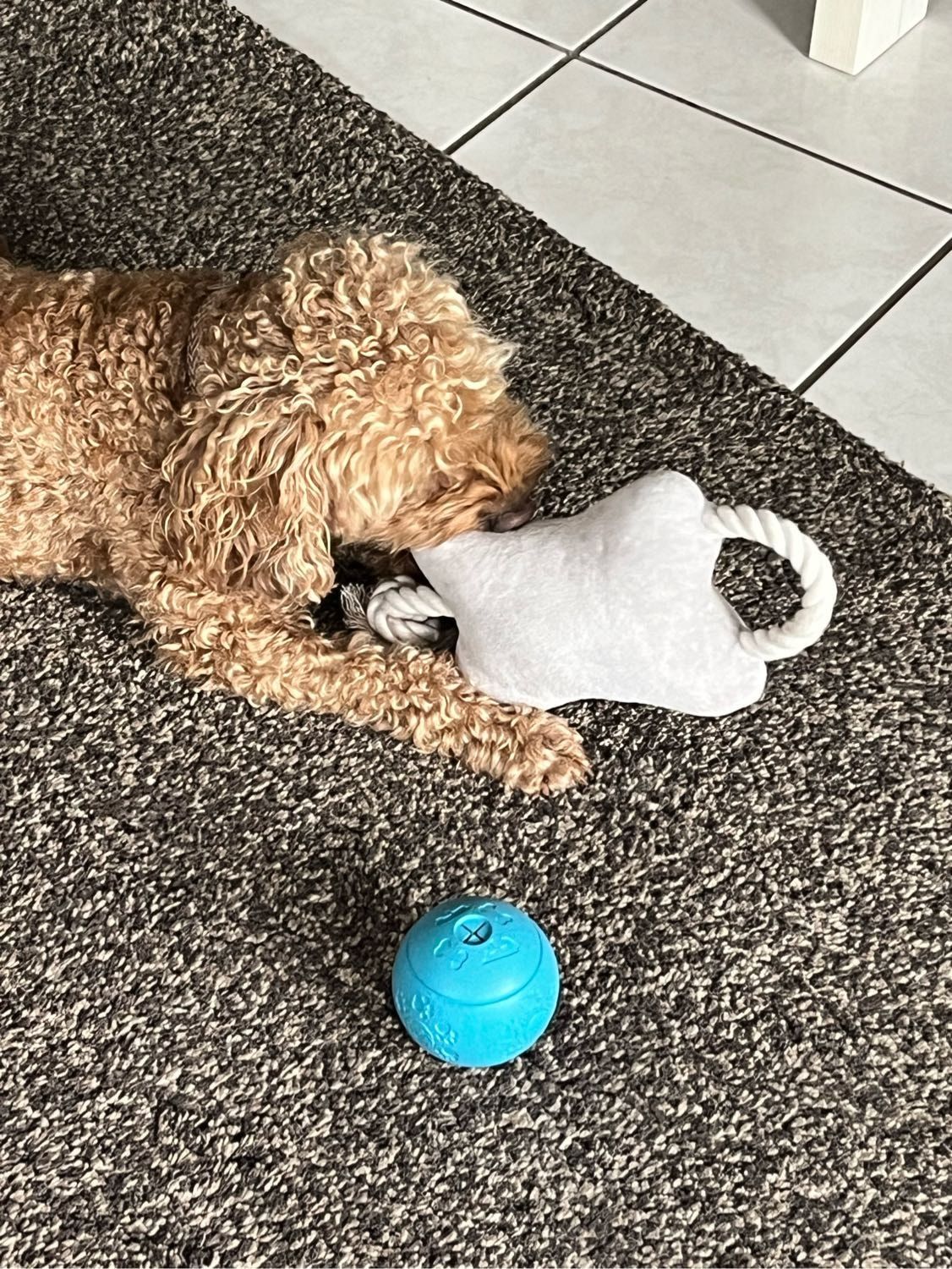 image-8
