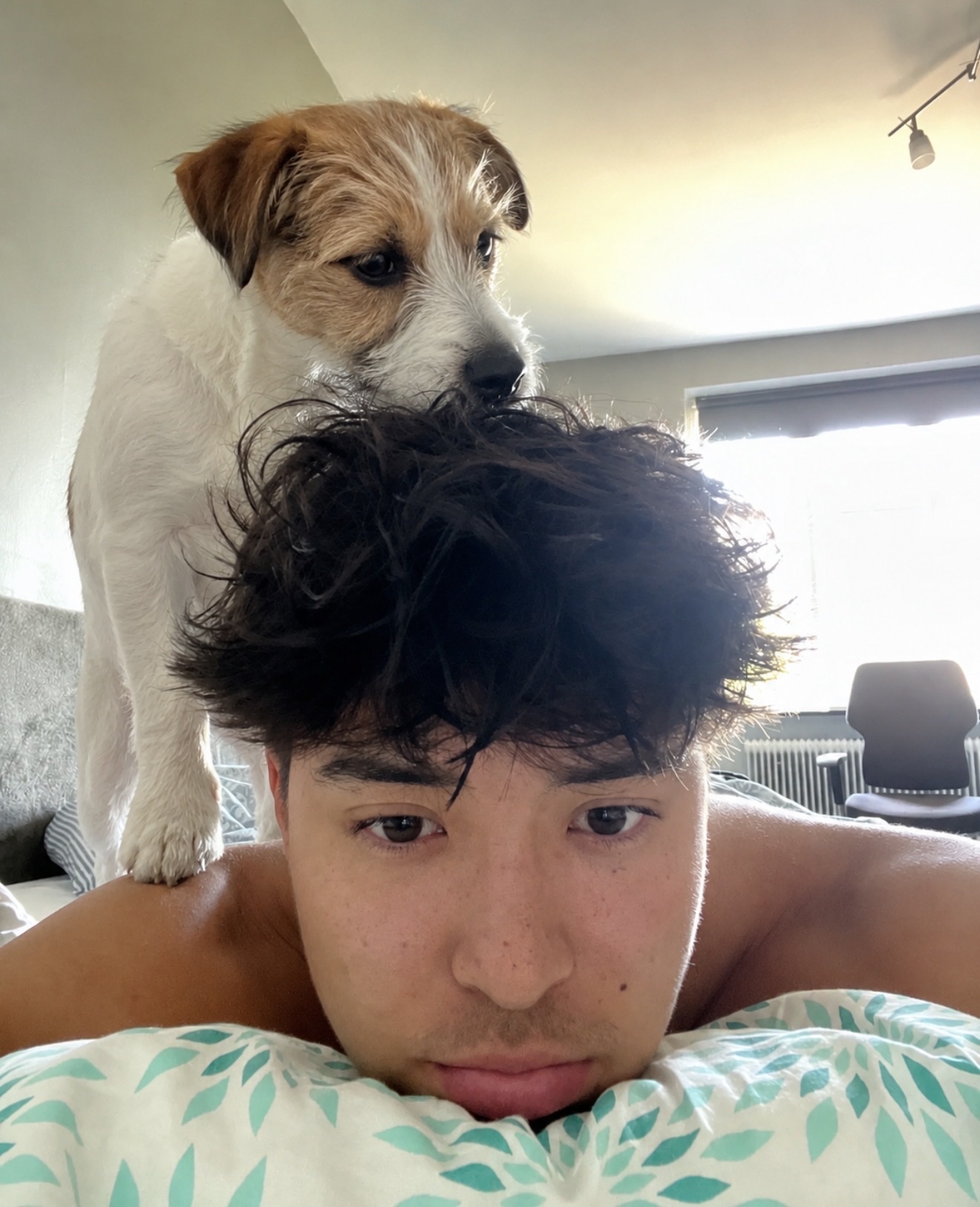 image-0