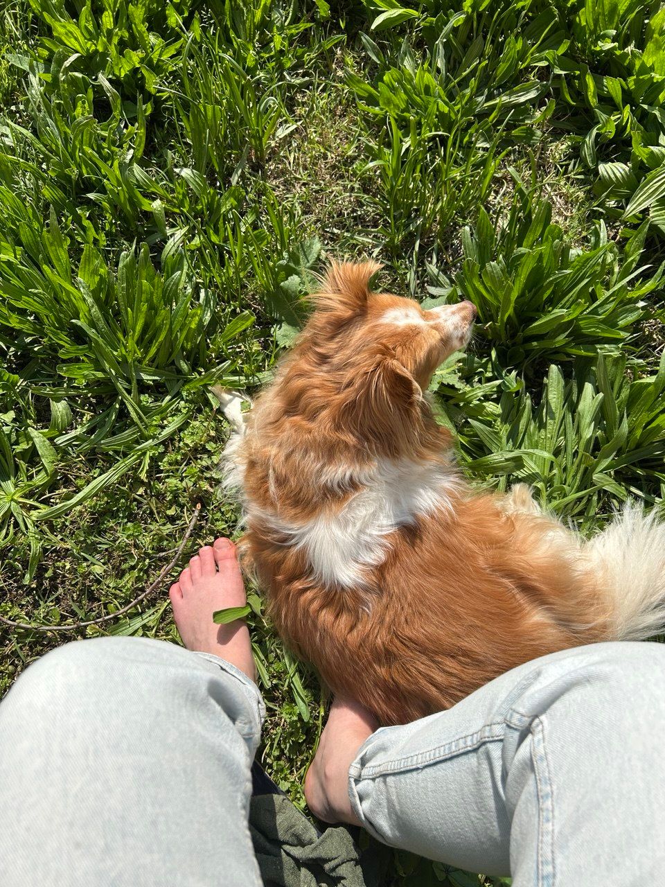 image-8