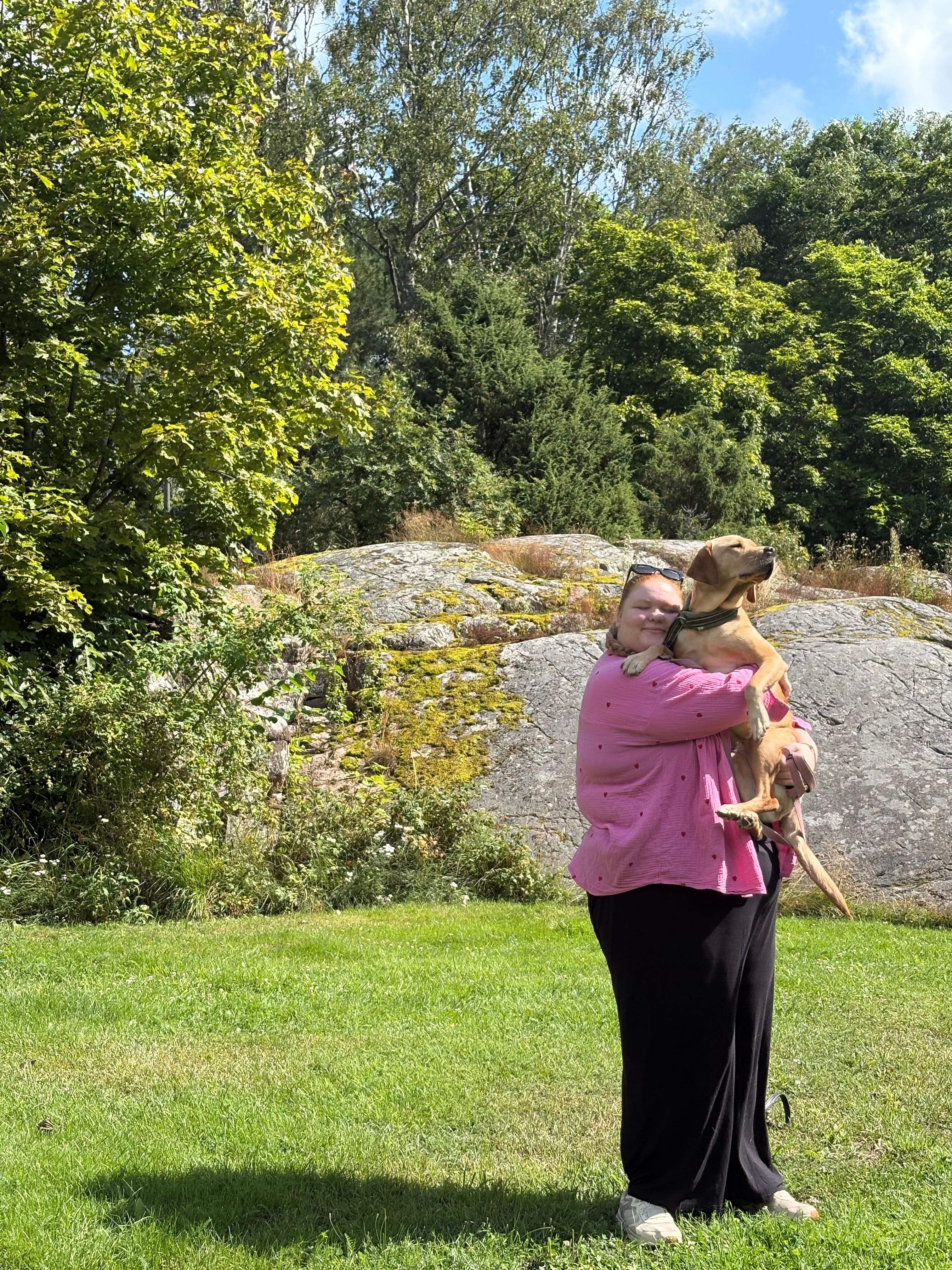 image-2