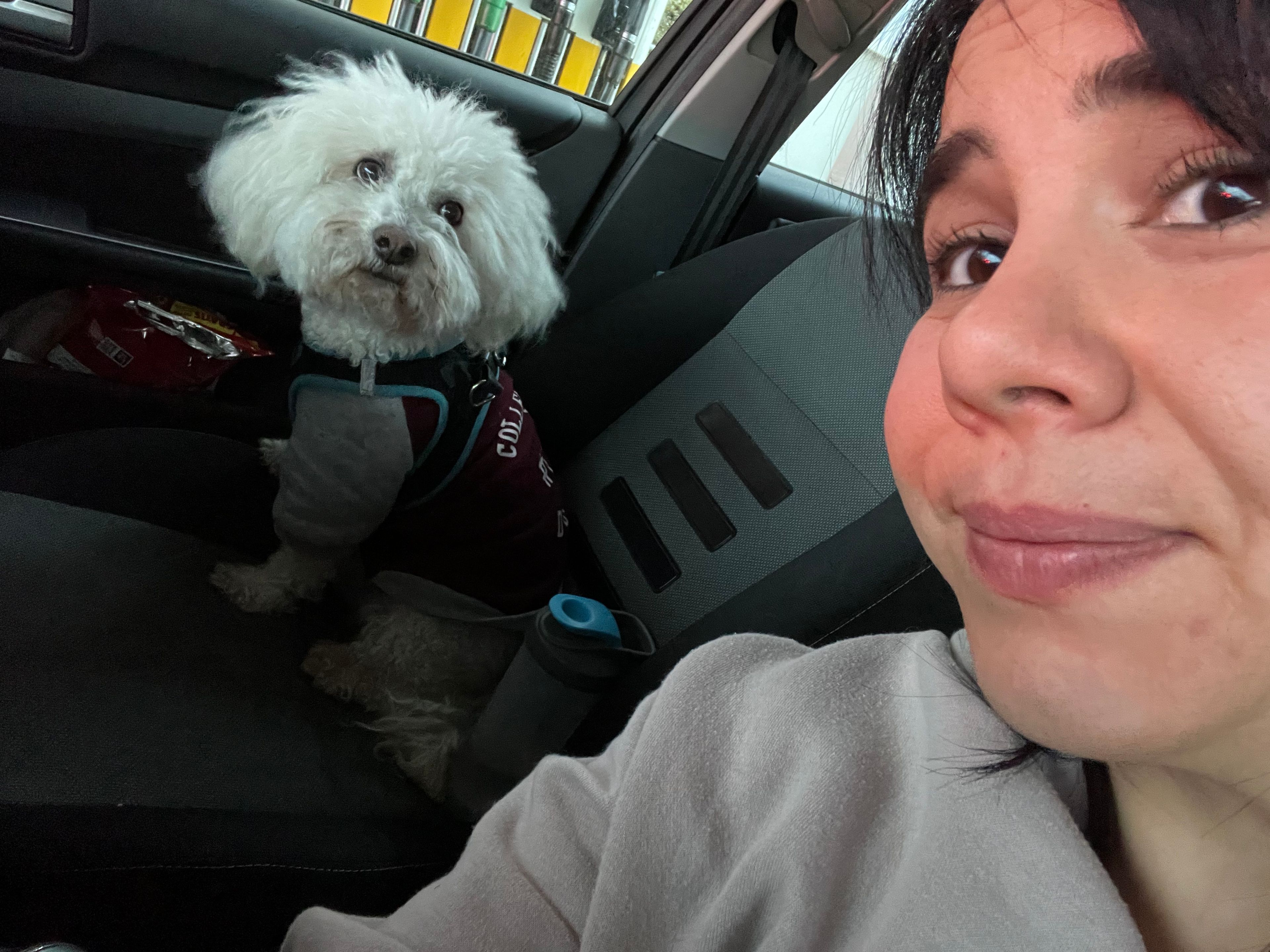image-11
