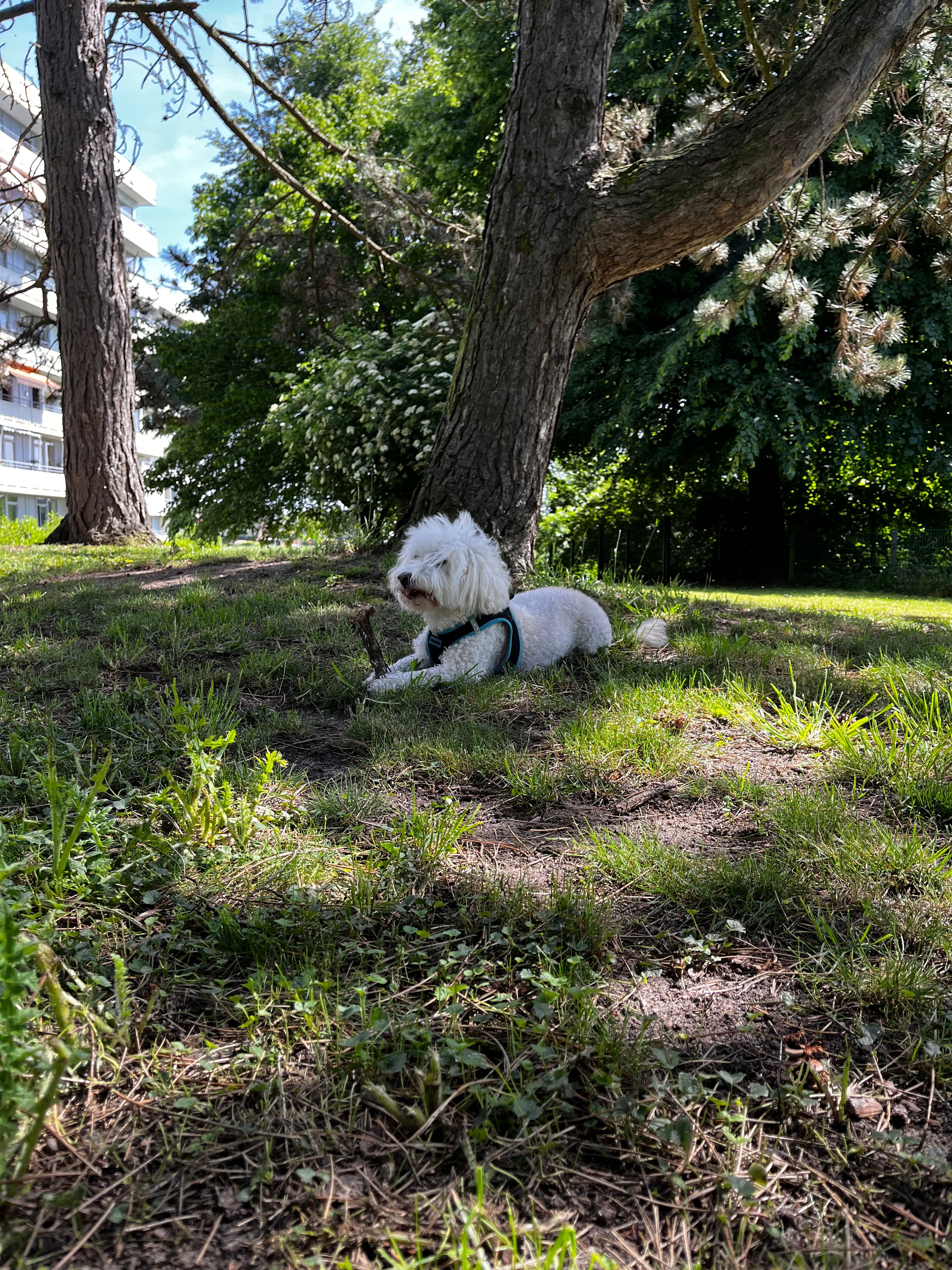 image-7