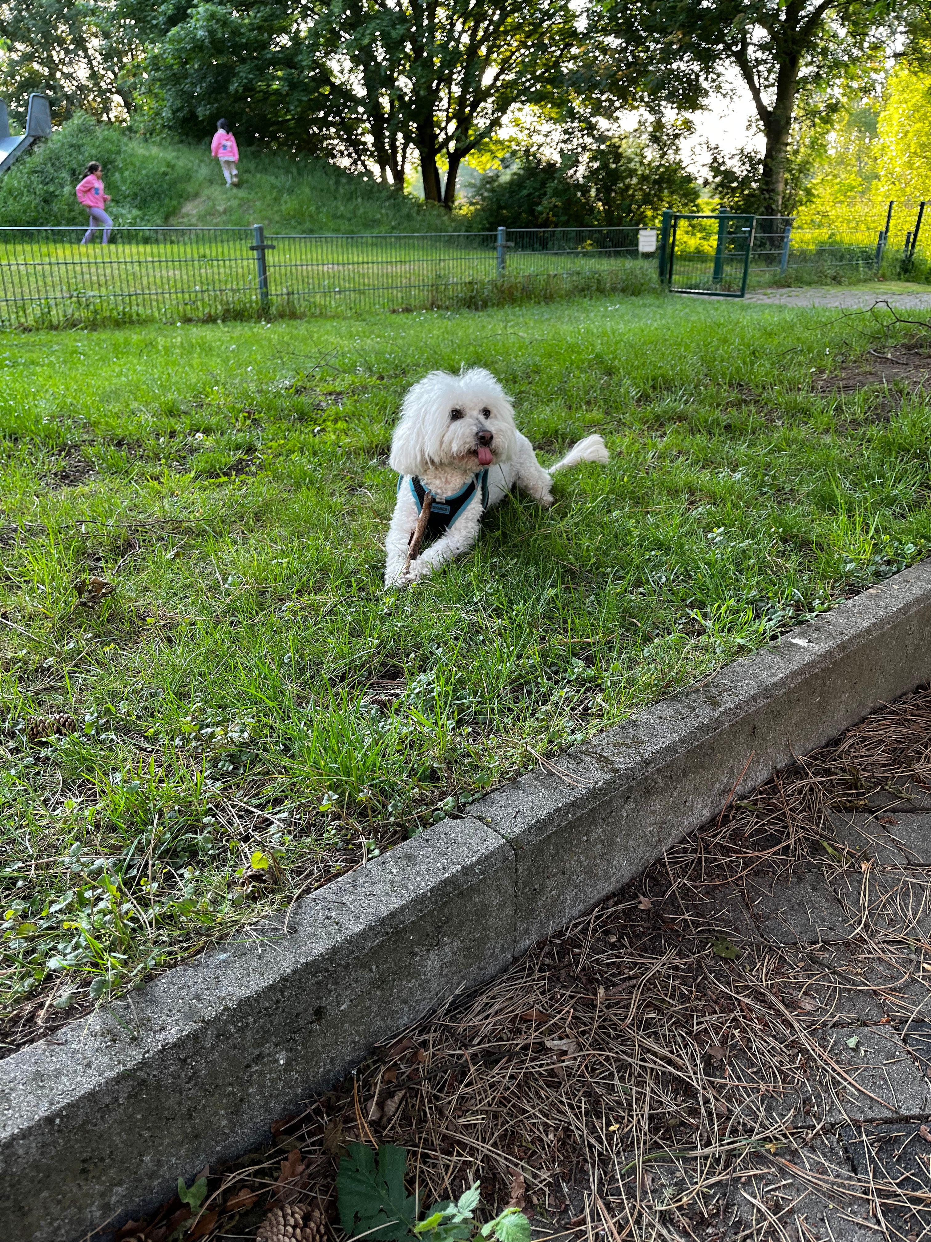image-6