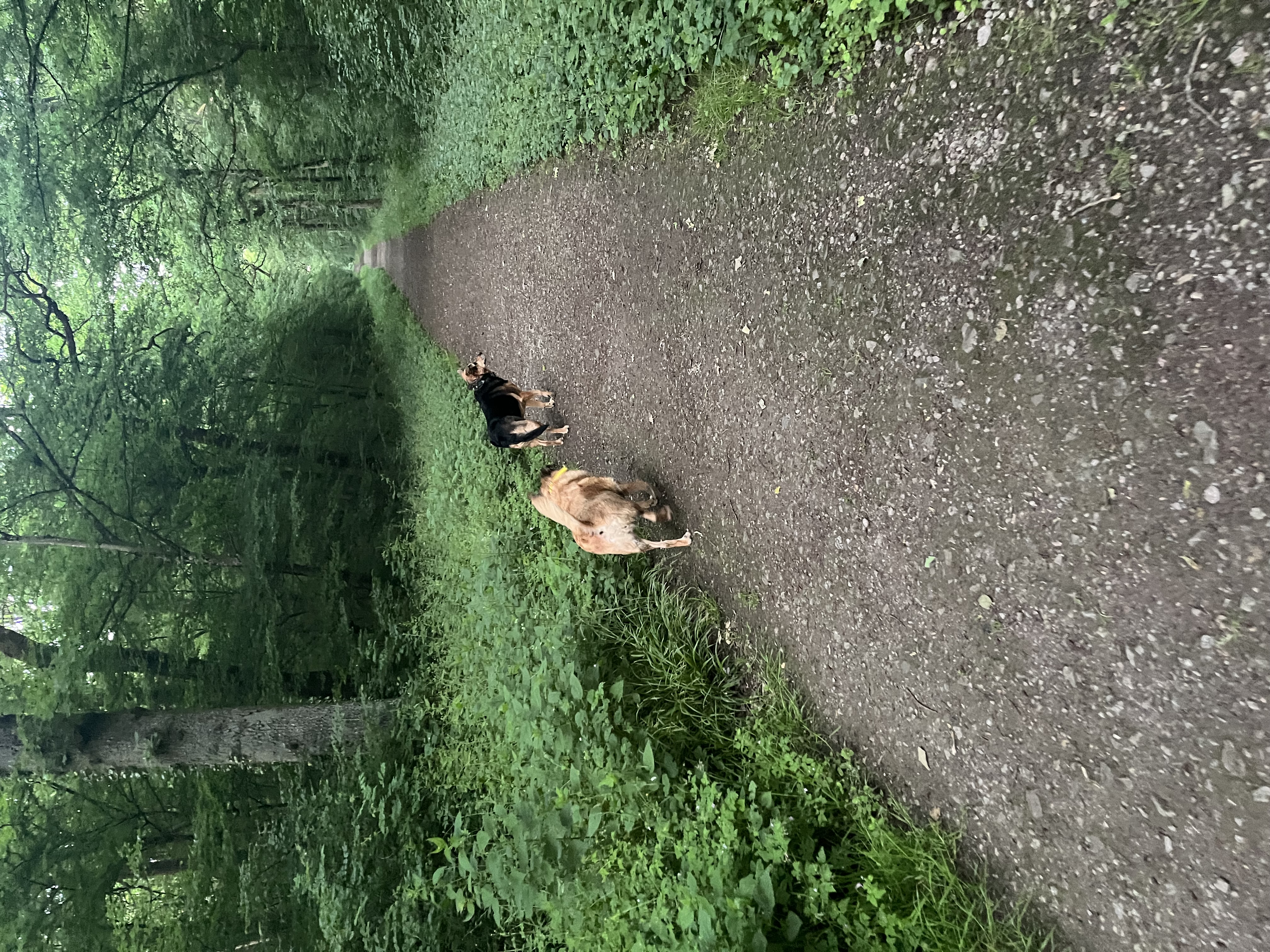 image-5