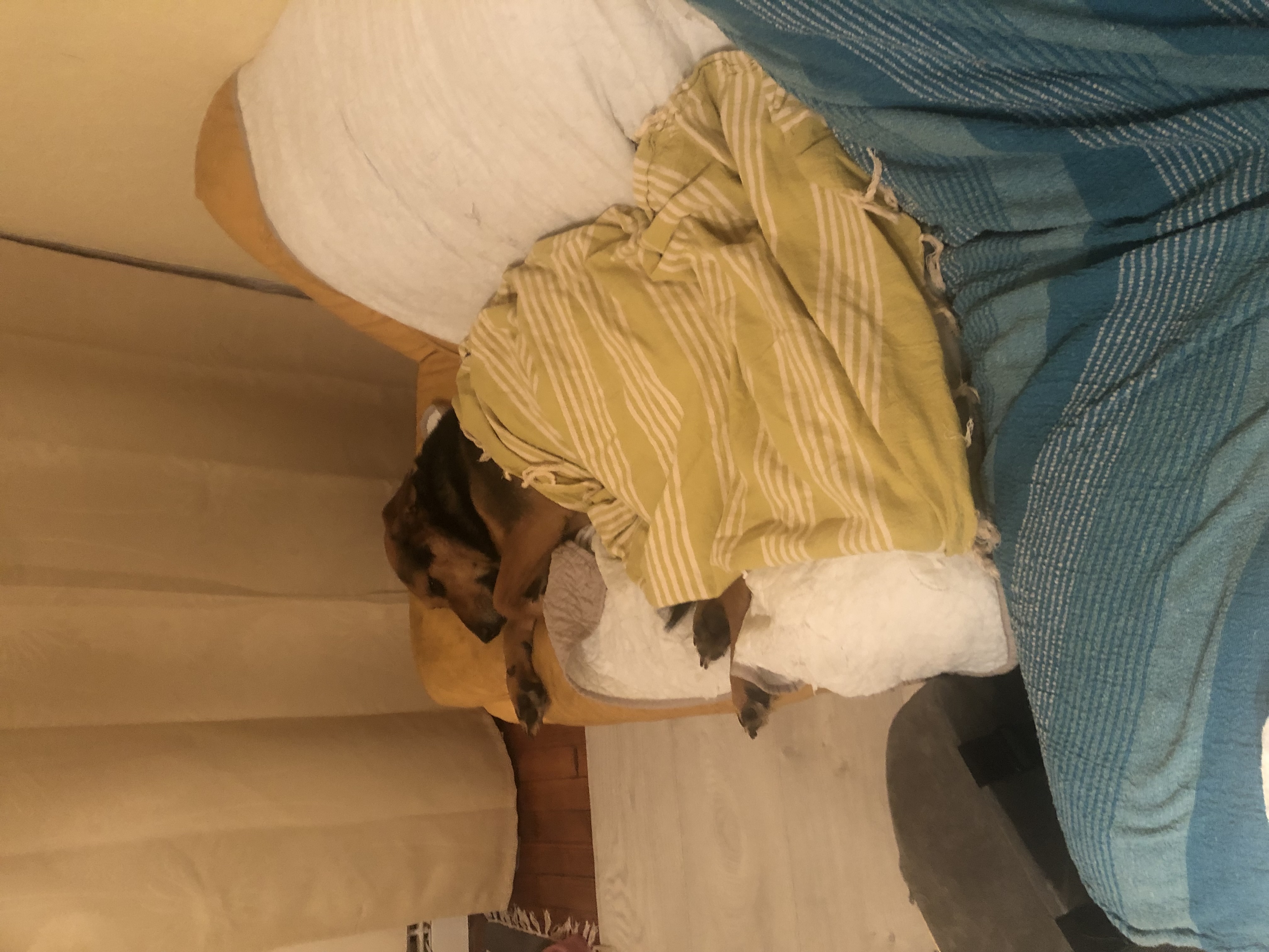 image-9