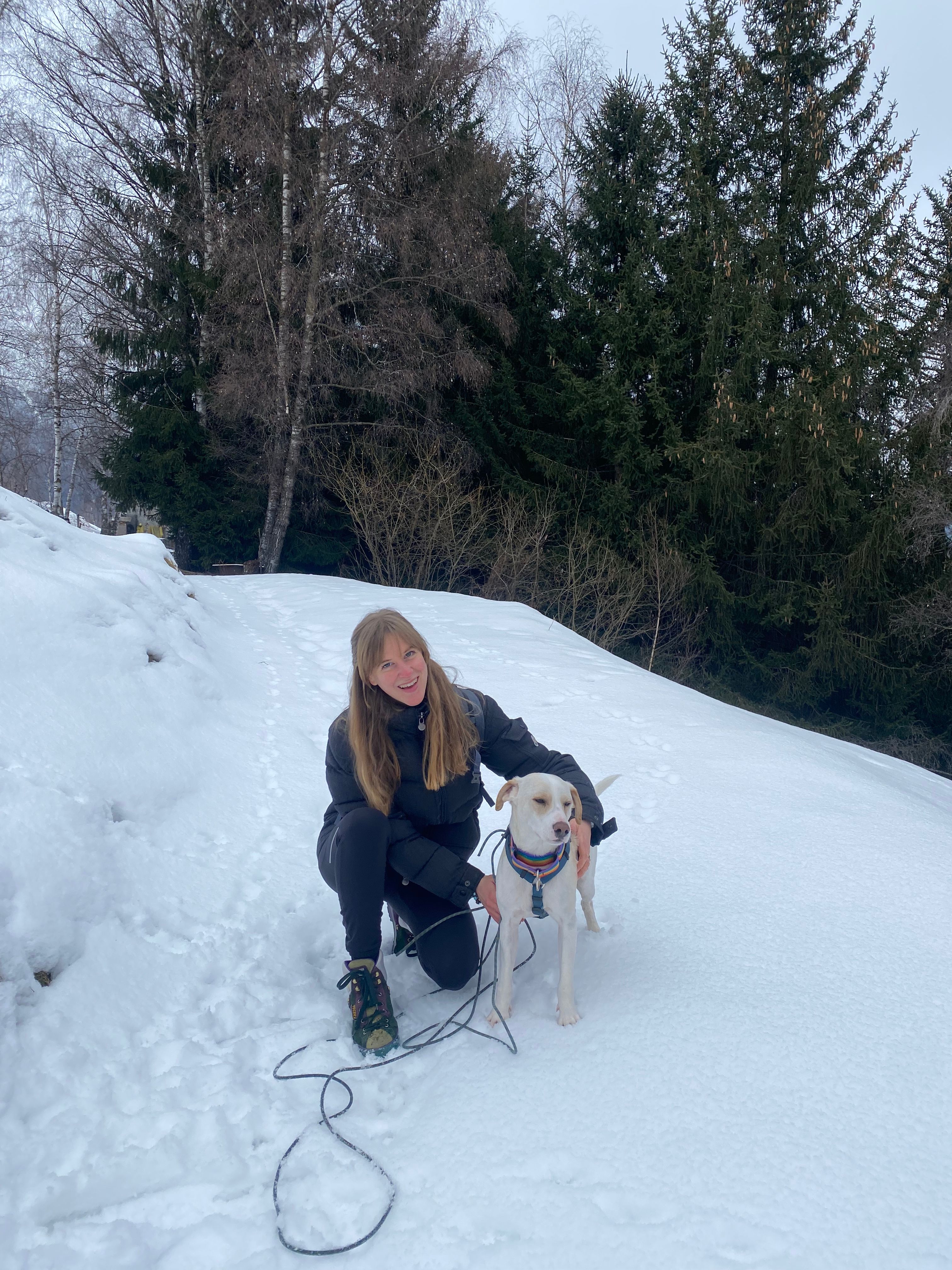 image-7