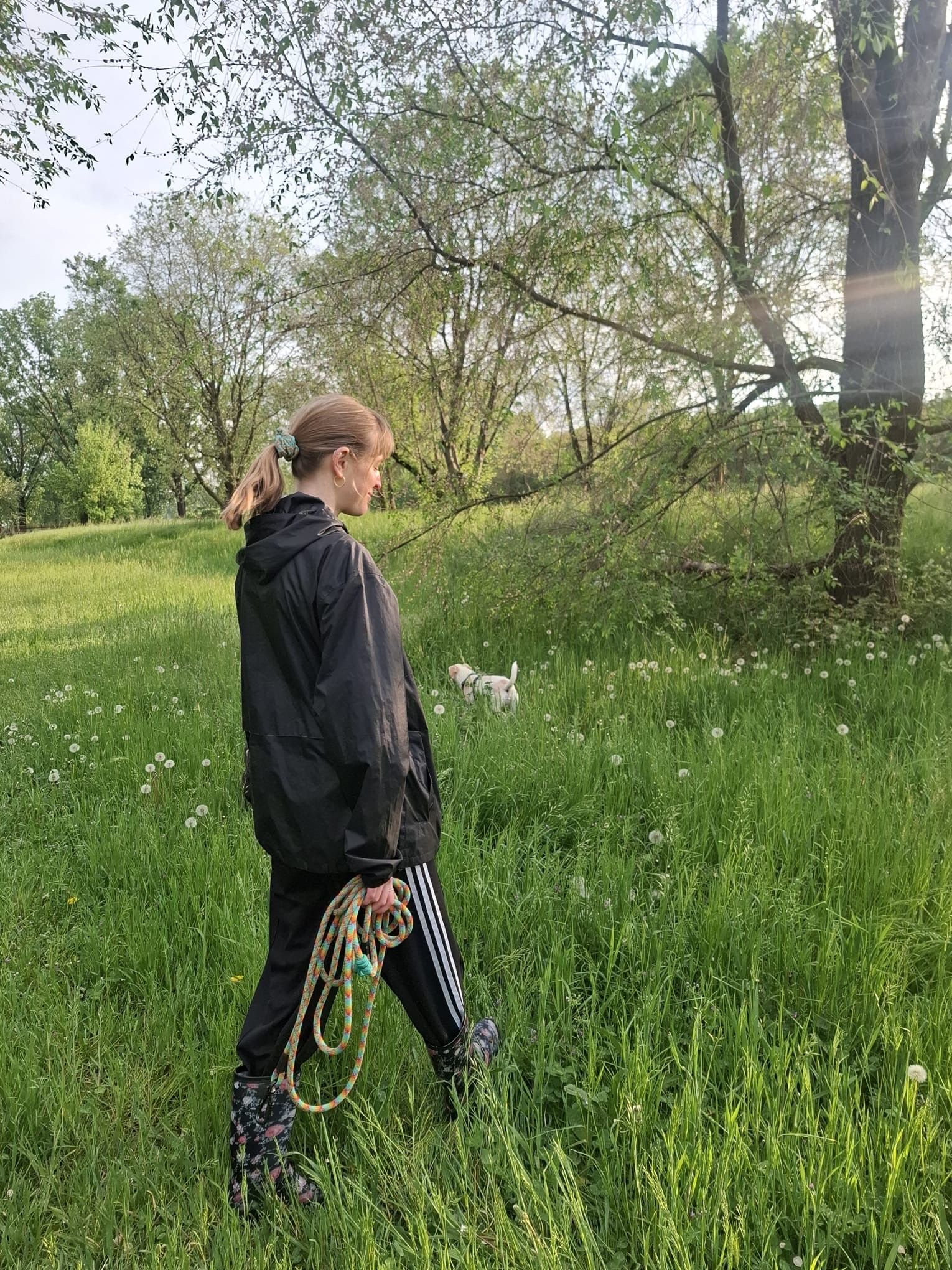 image-5