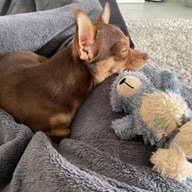 Beau