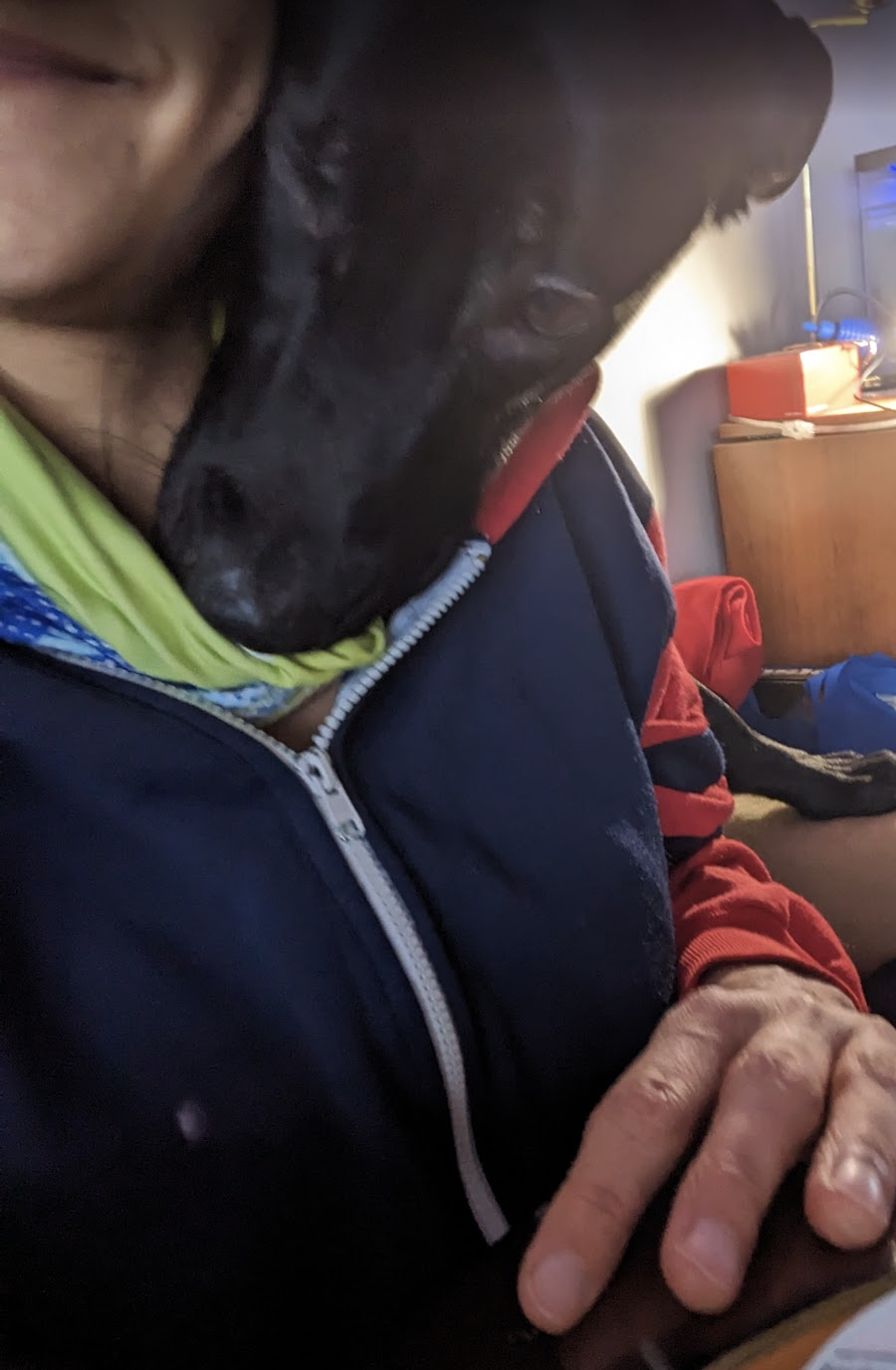 image-7