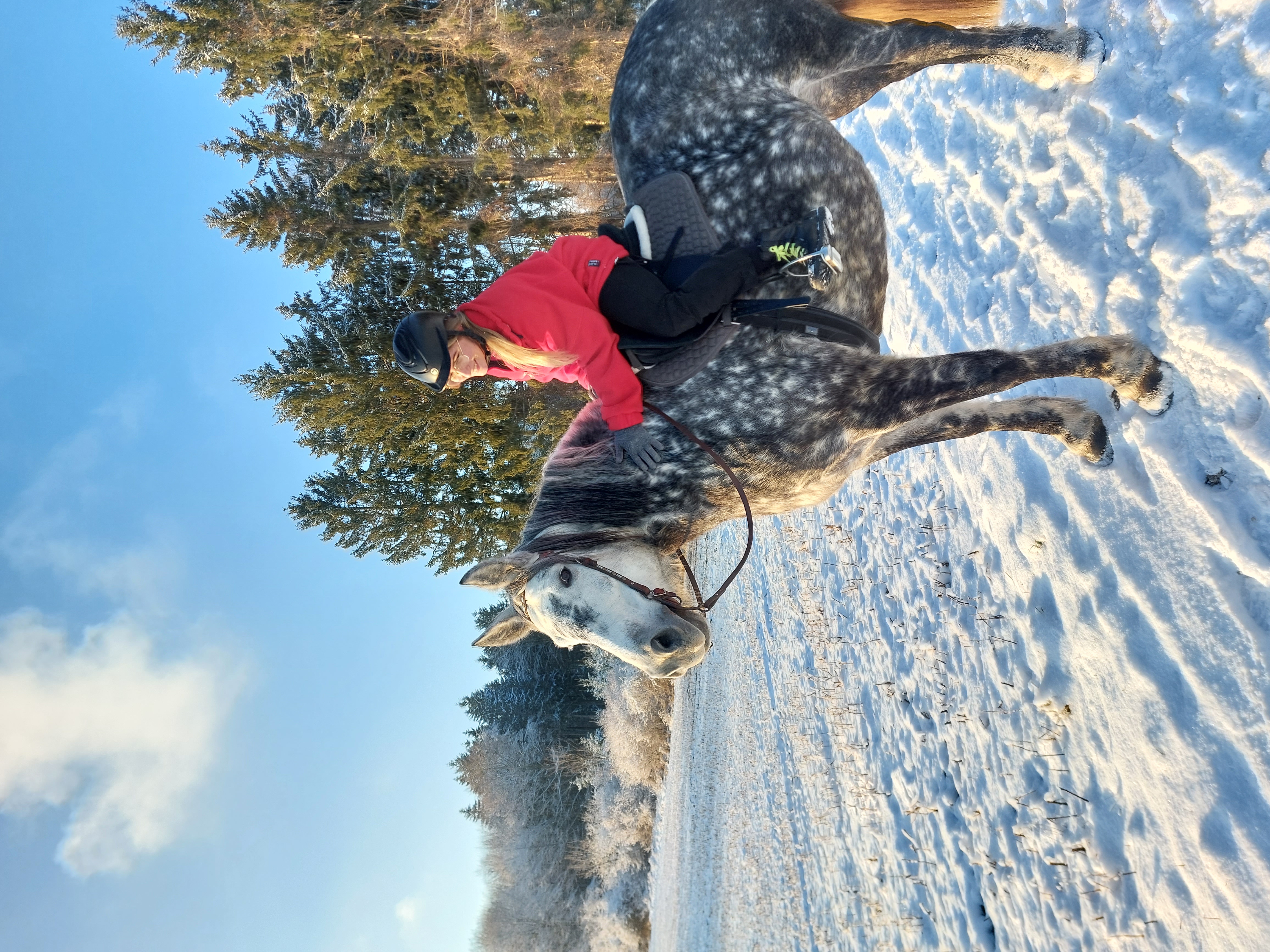 image-7