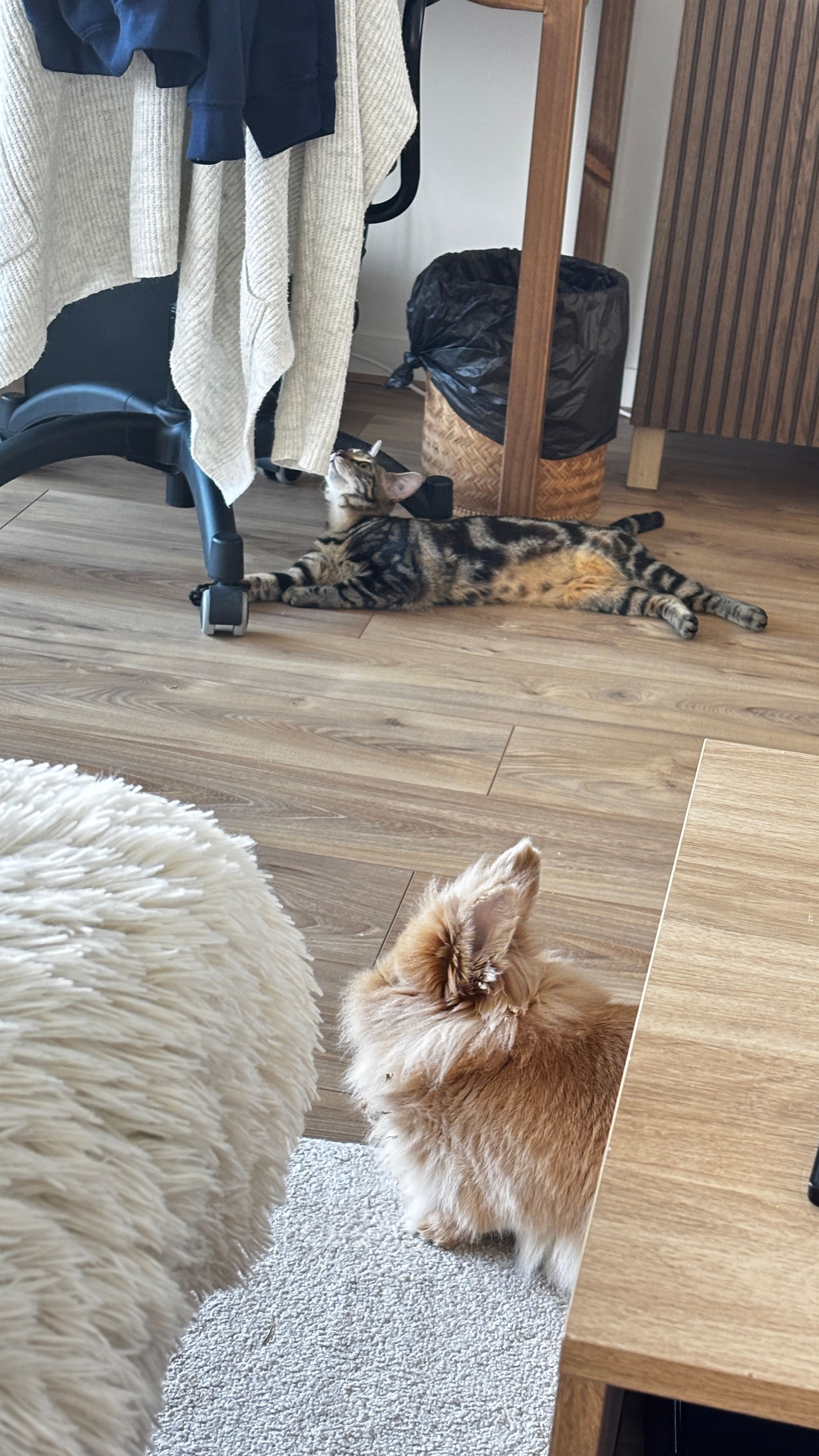 image-16