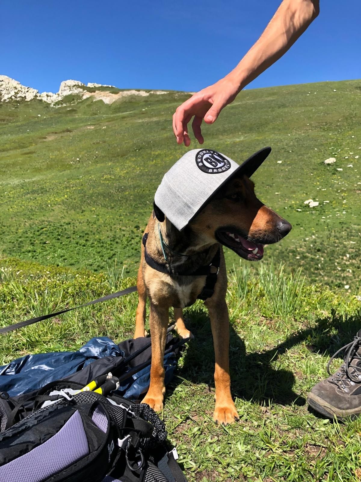 image-6
