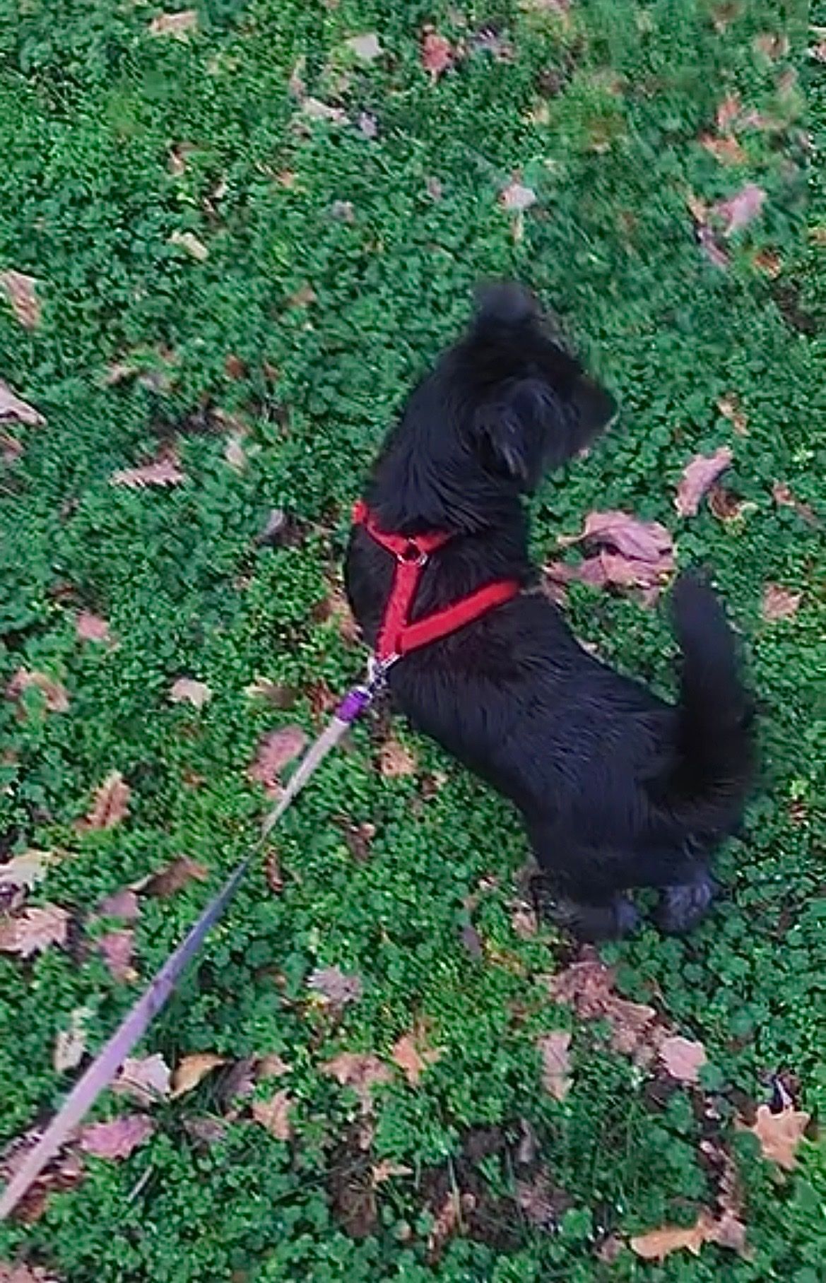 image-8