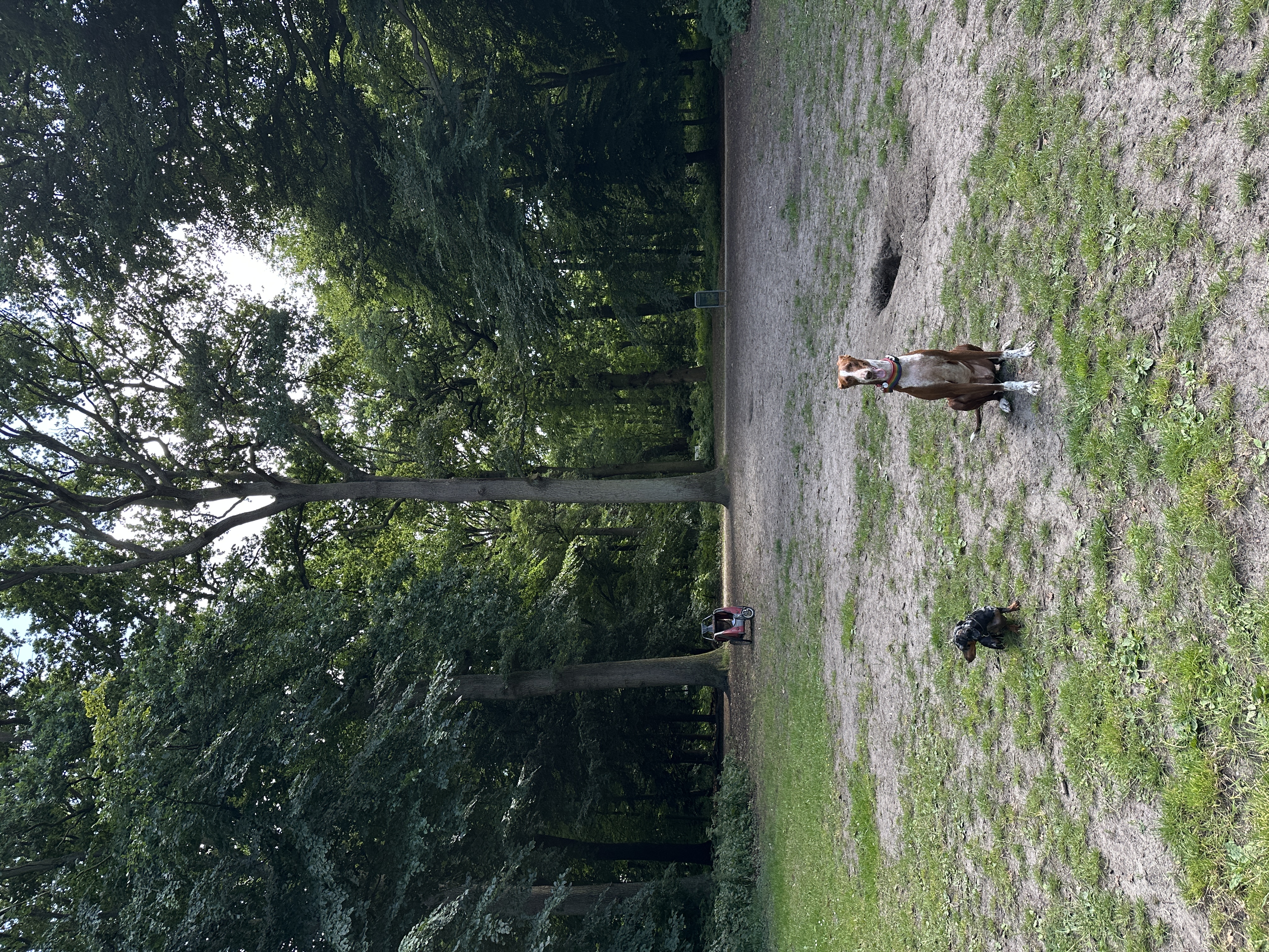 image-10