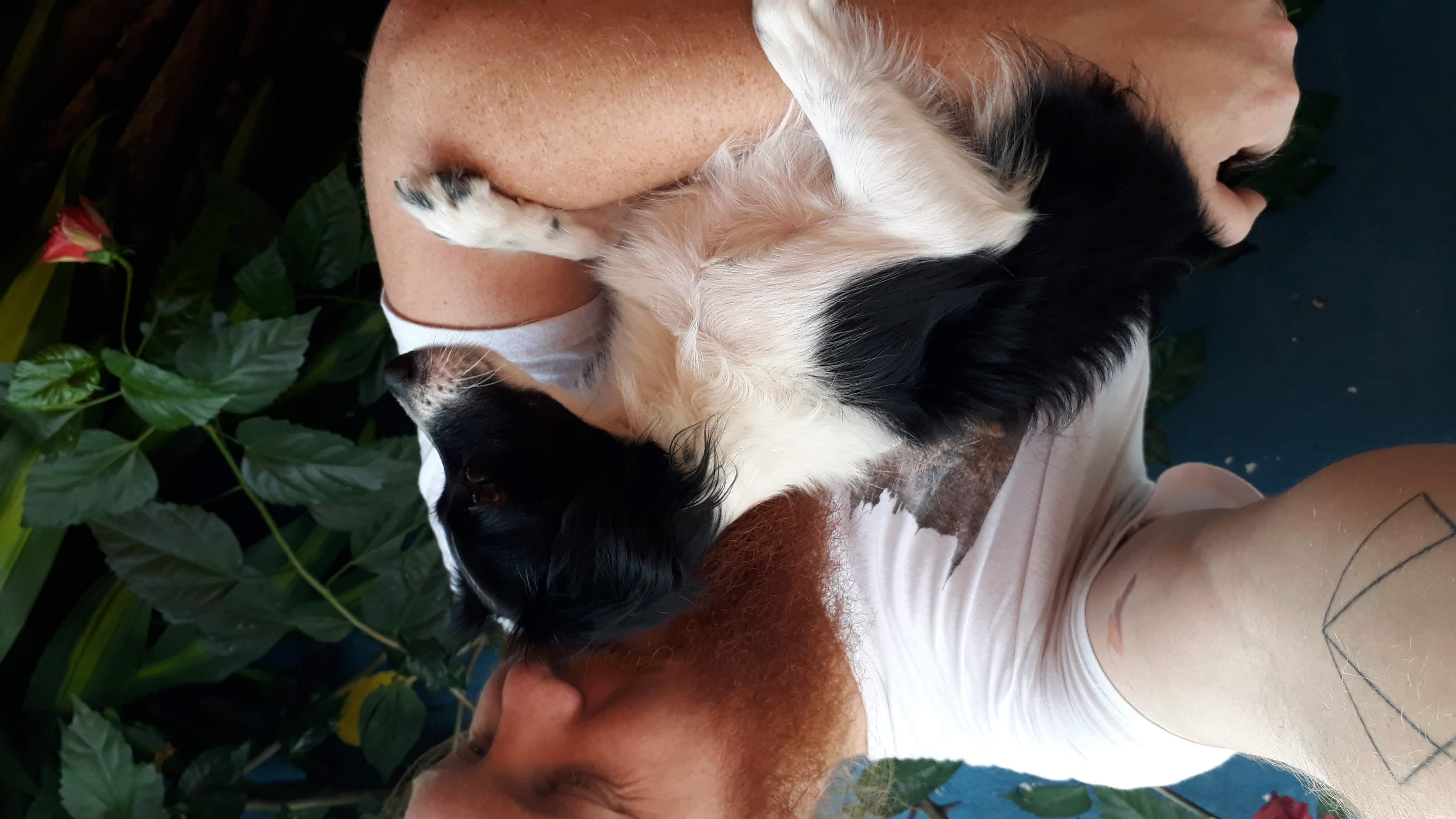 image-8