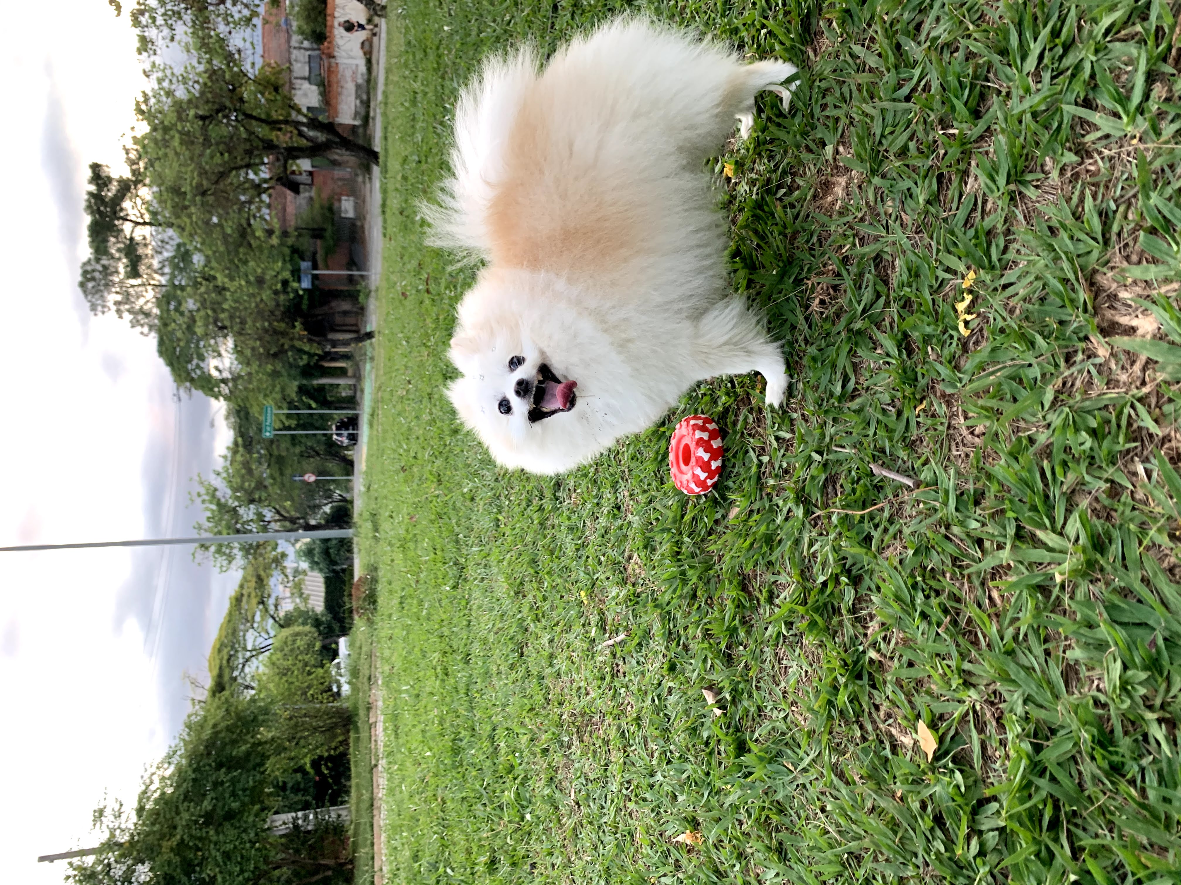 image-5