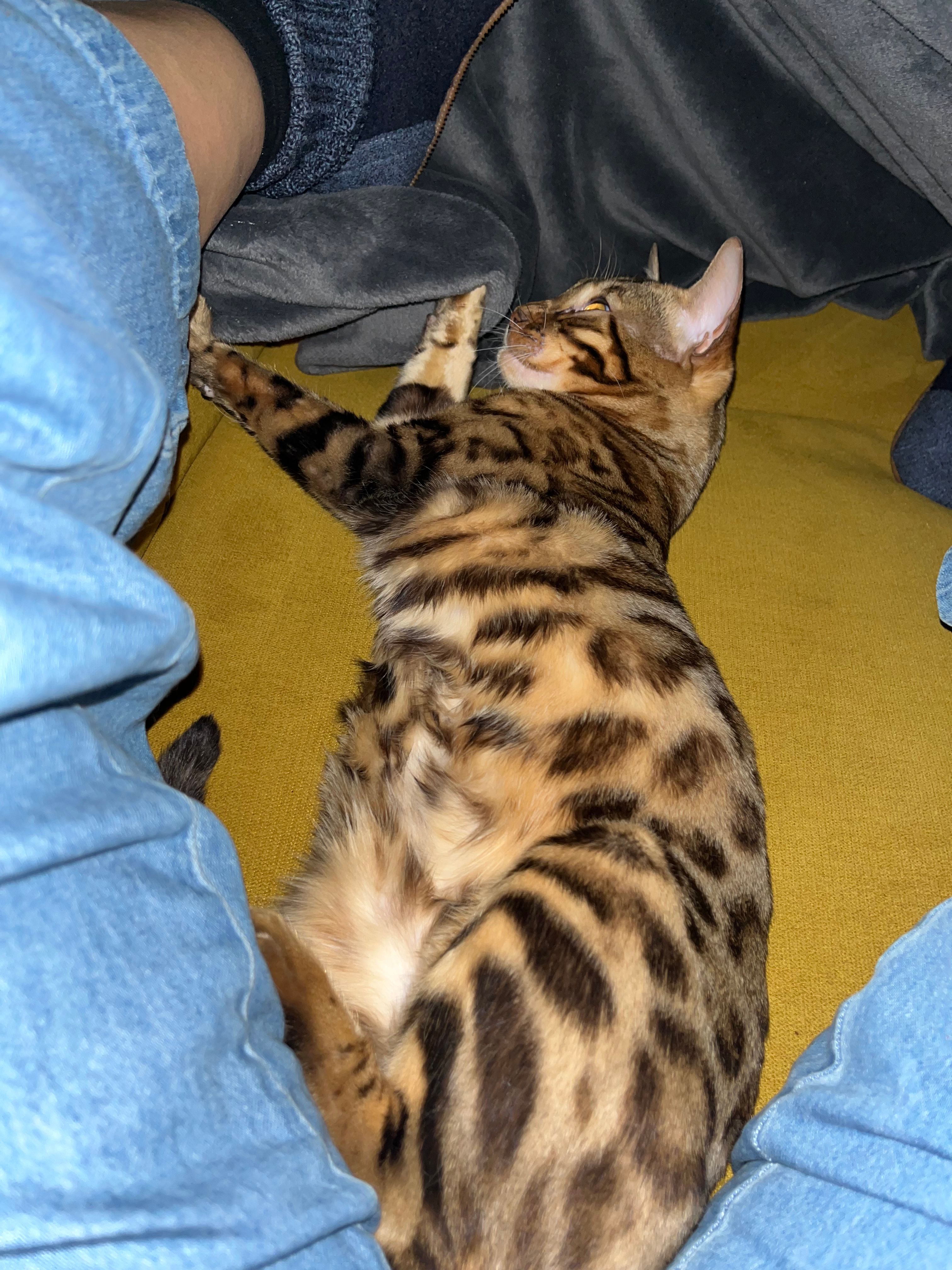 image-11