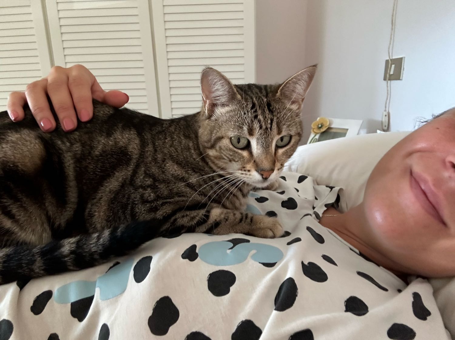 image-2