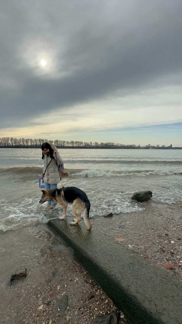 image-4