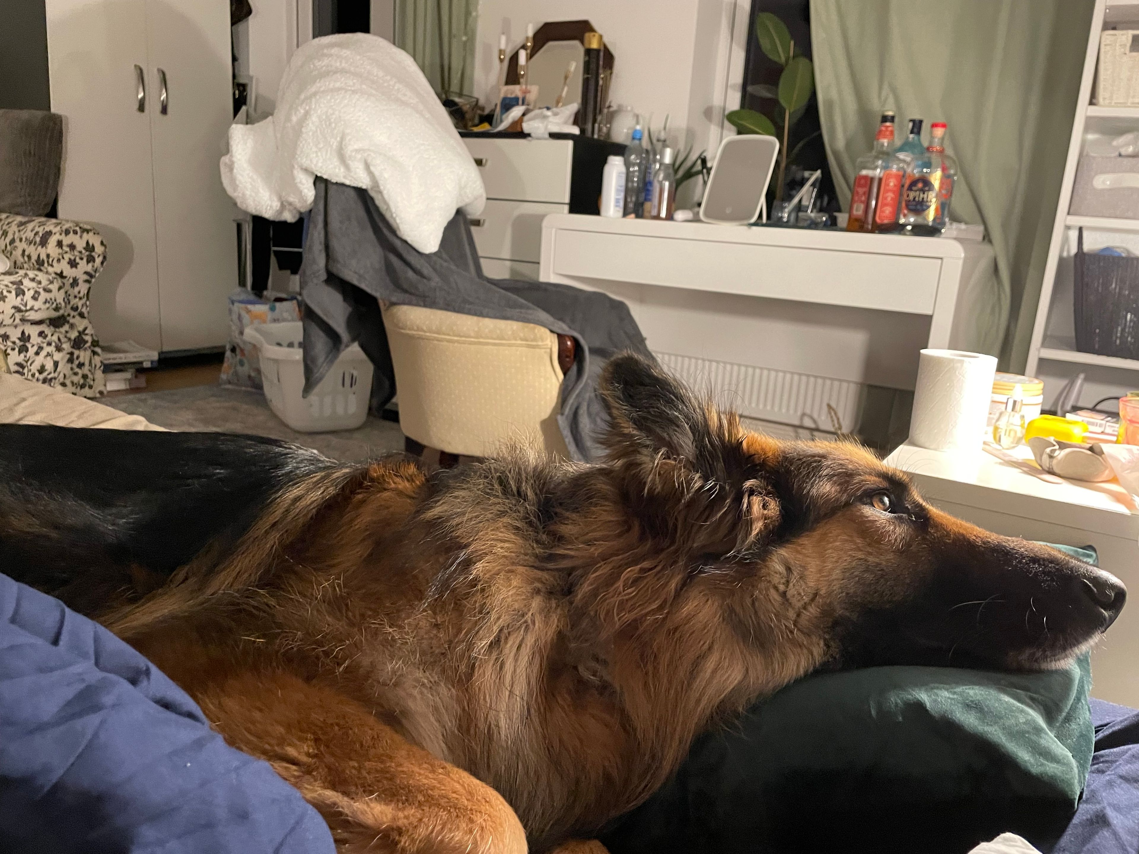 image-13