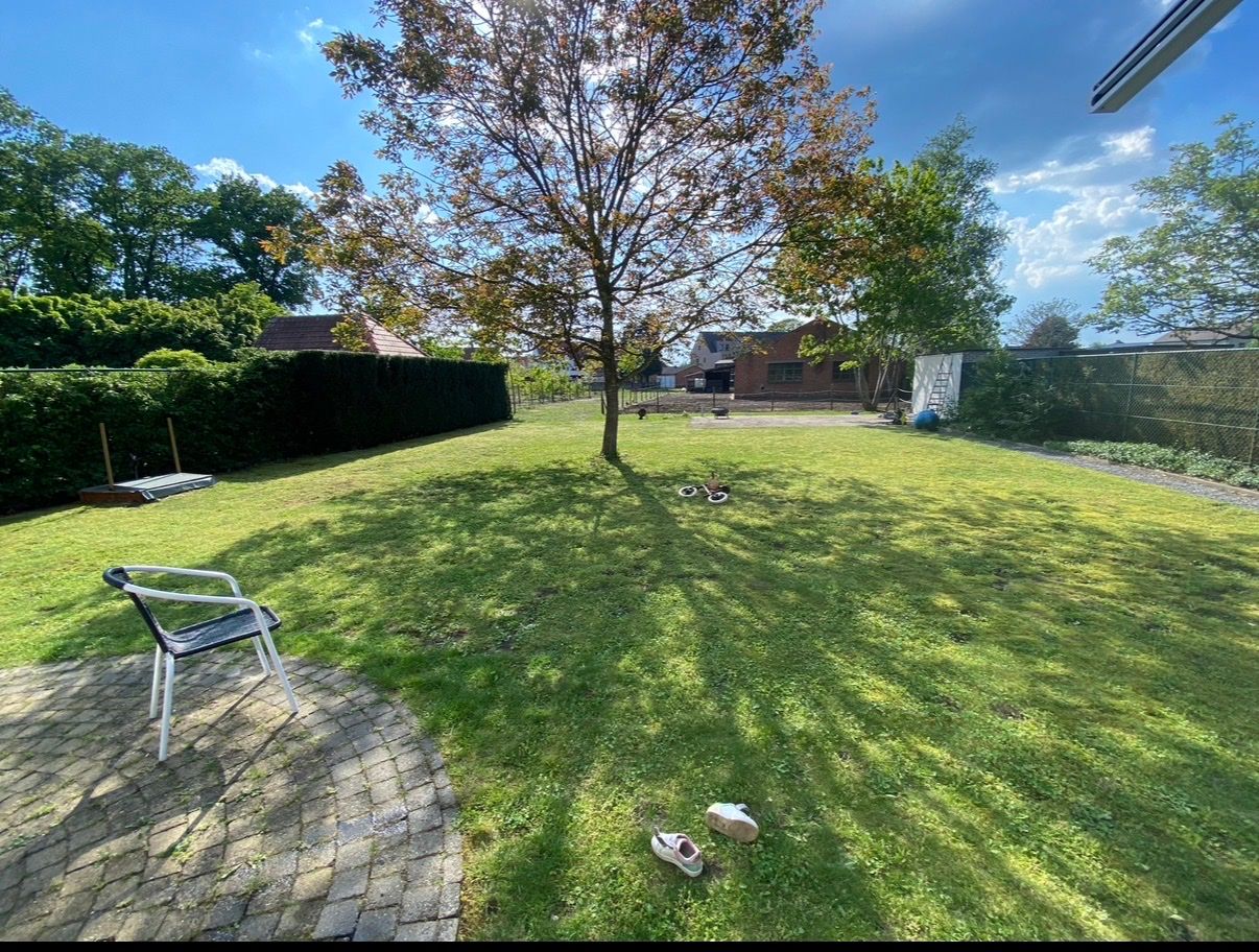 image-20