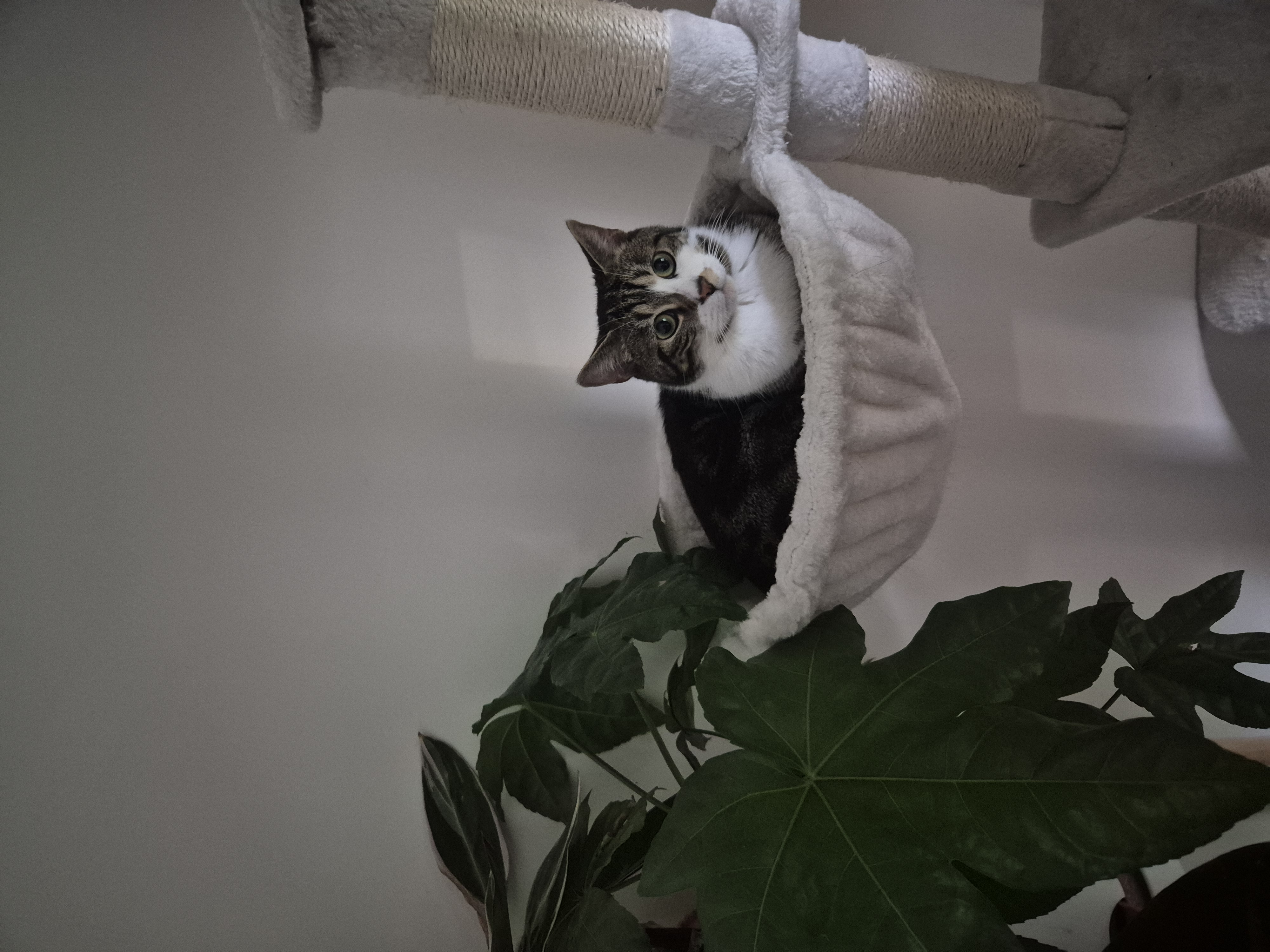 image-6