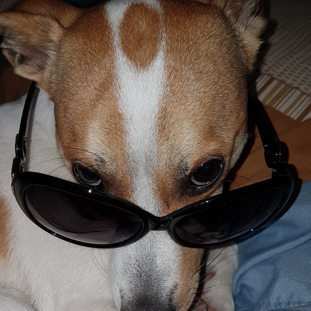Milo