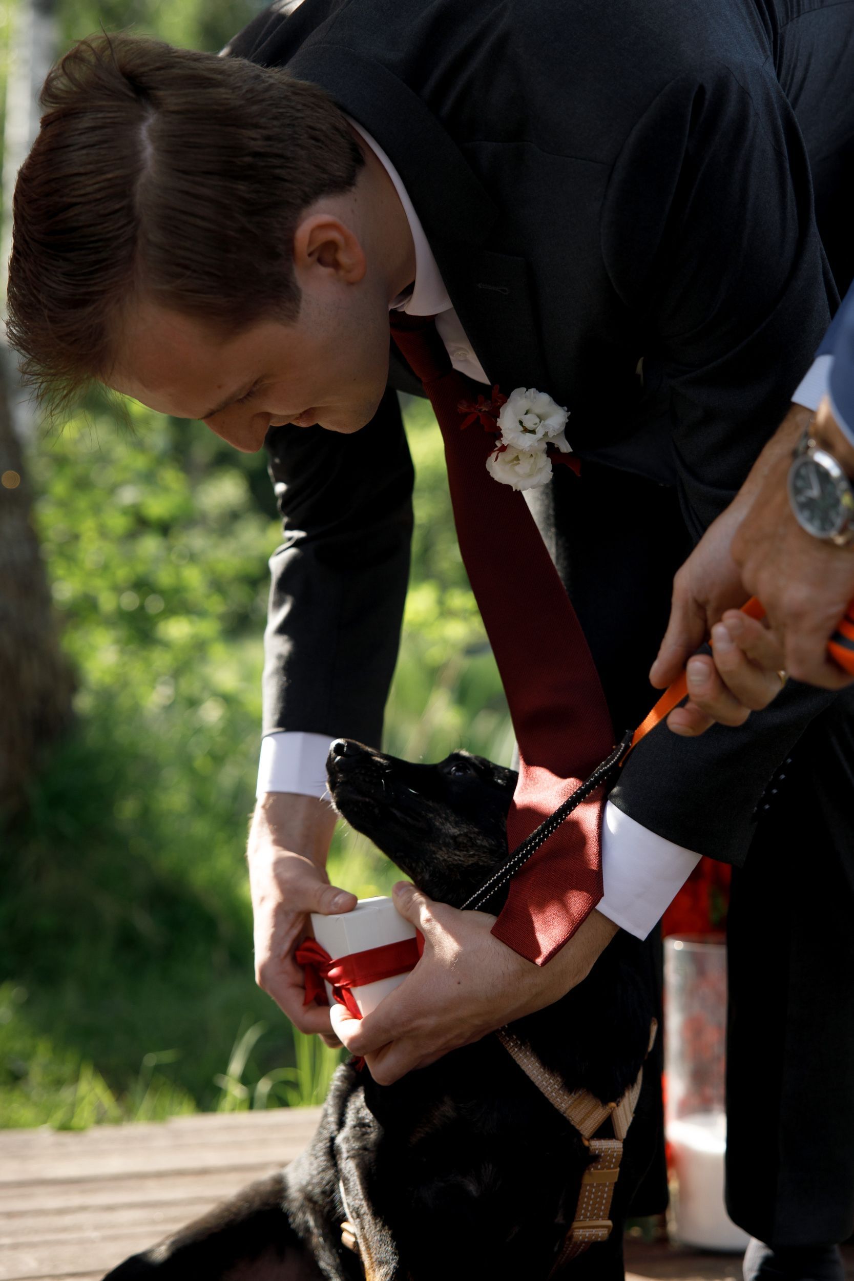 image-7