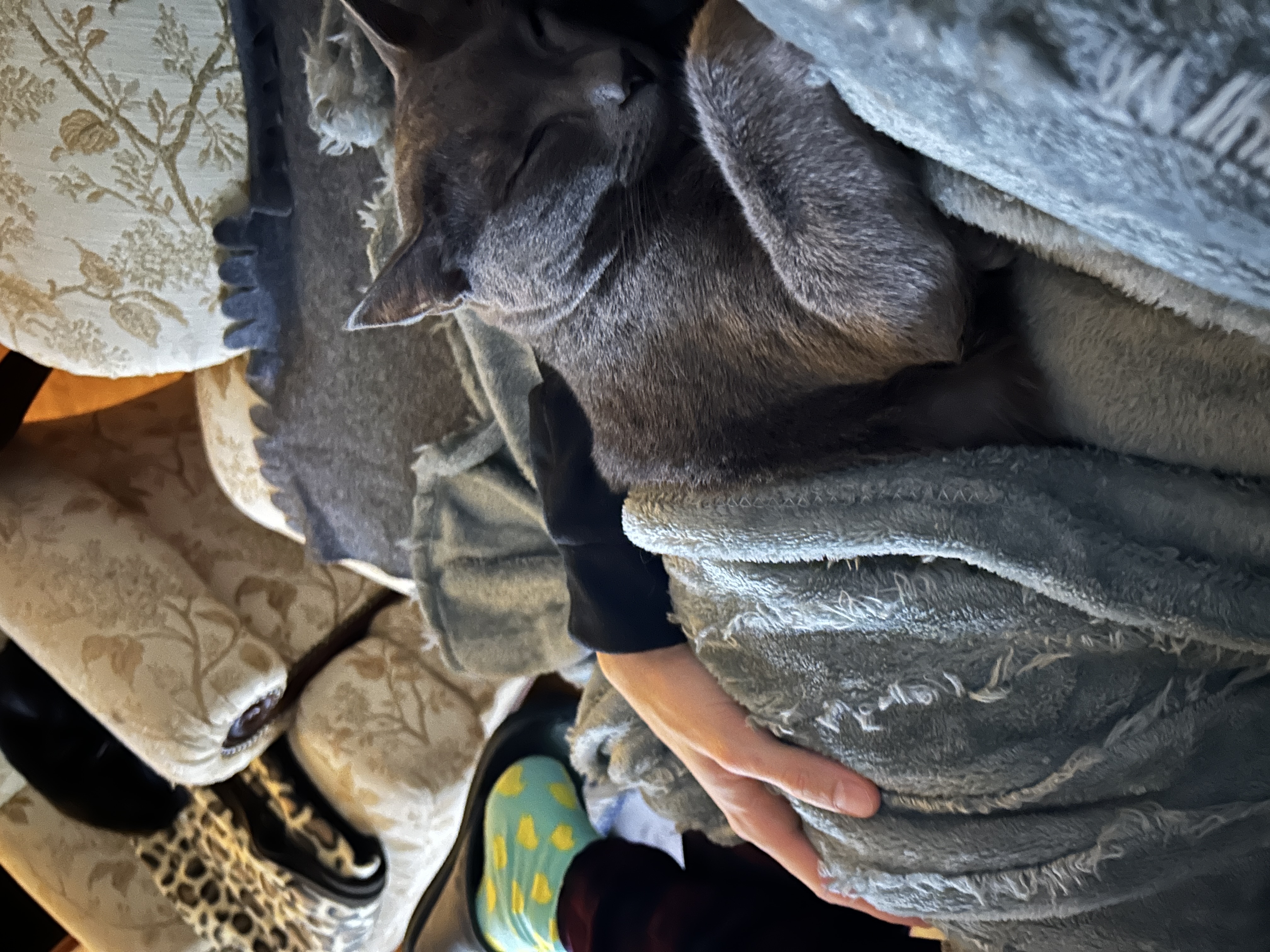 image-5