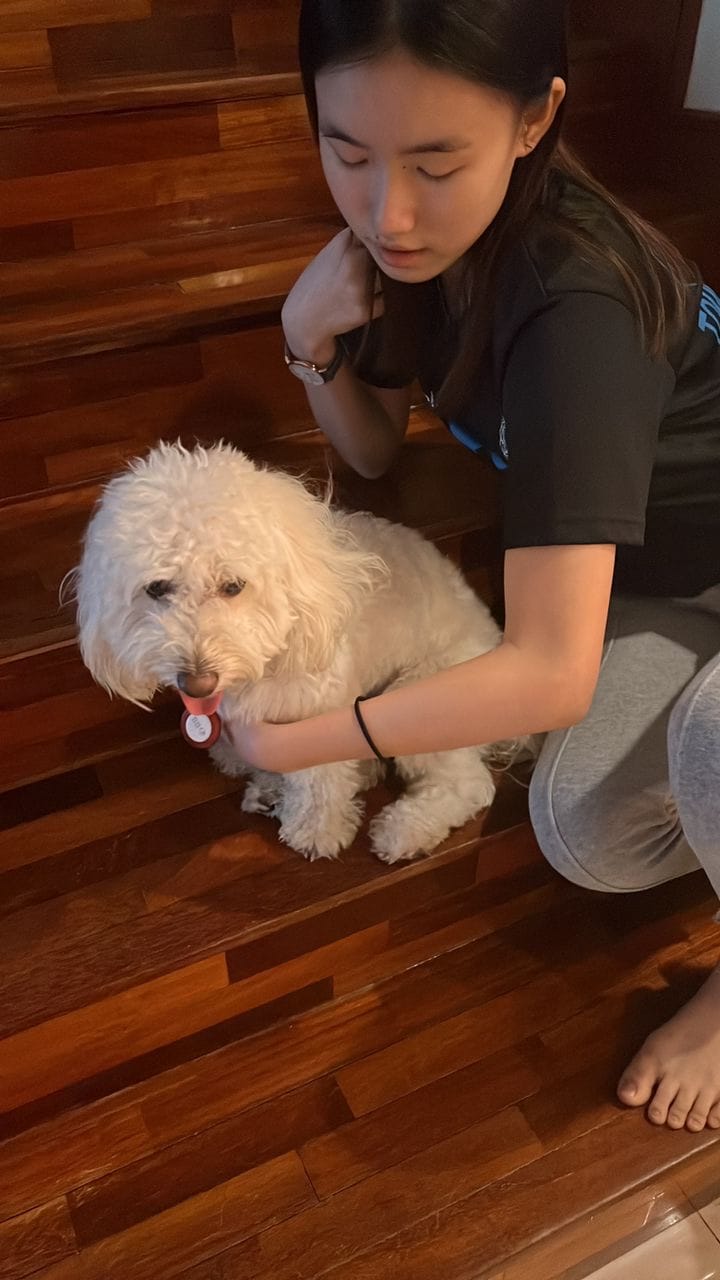 image-9