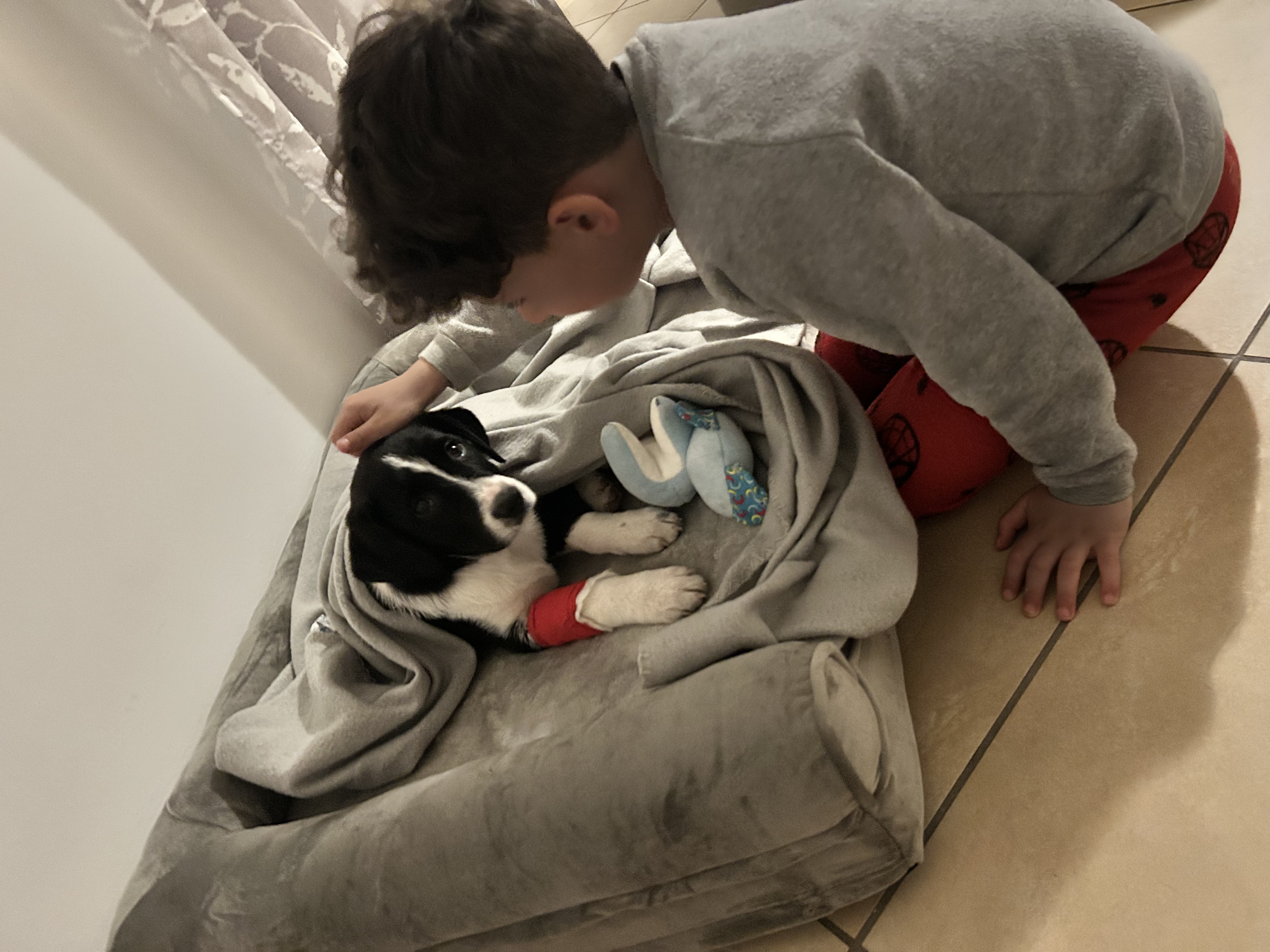 image-14