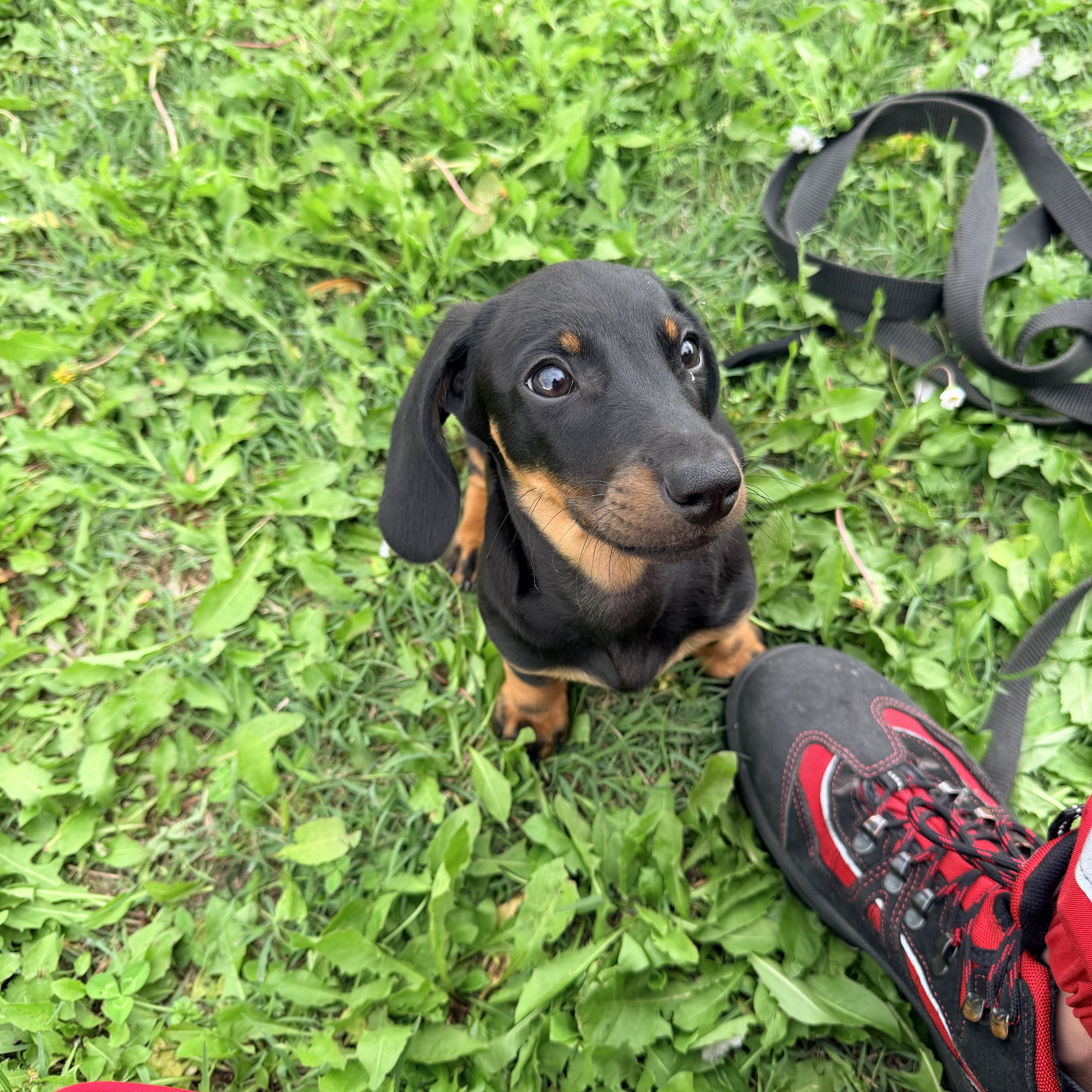 Max