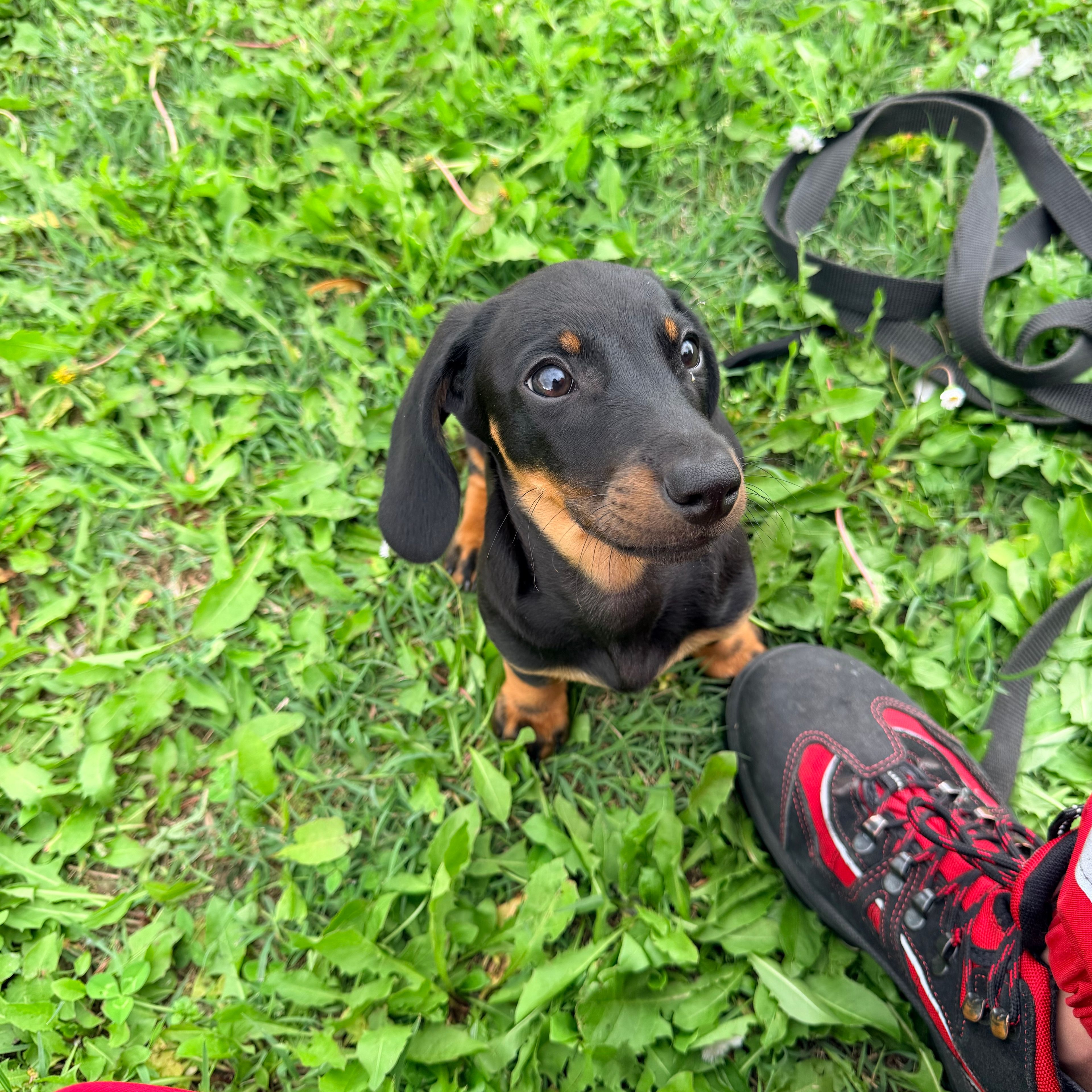 Max