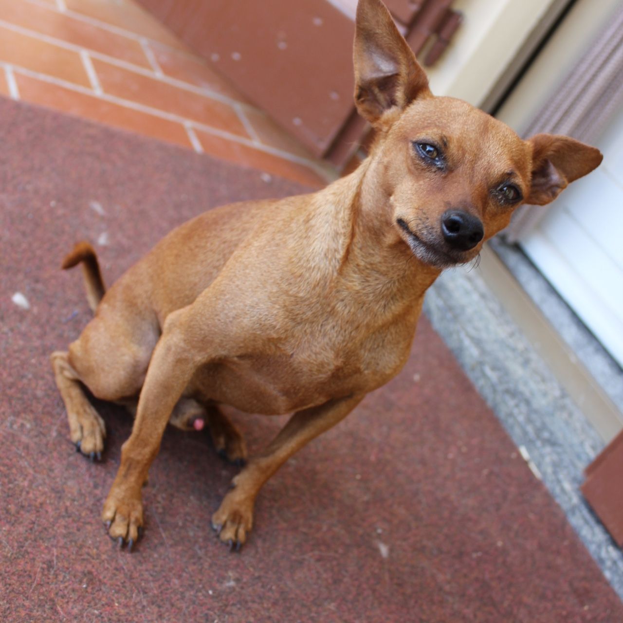Spillo