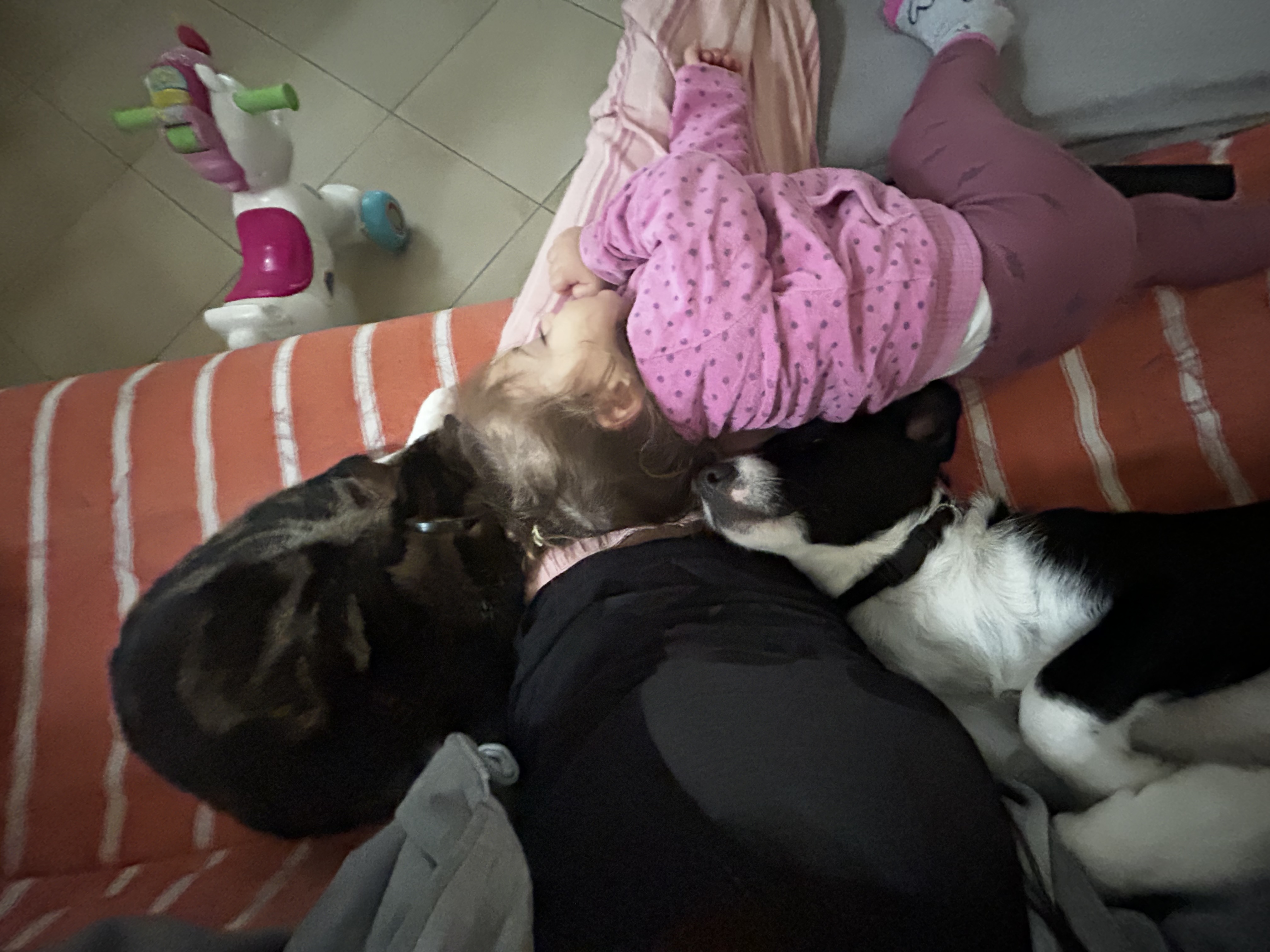 image-11