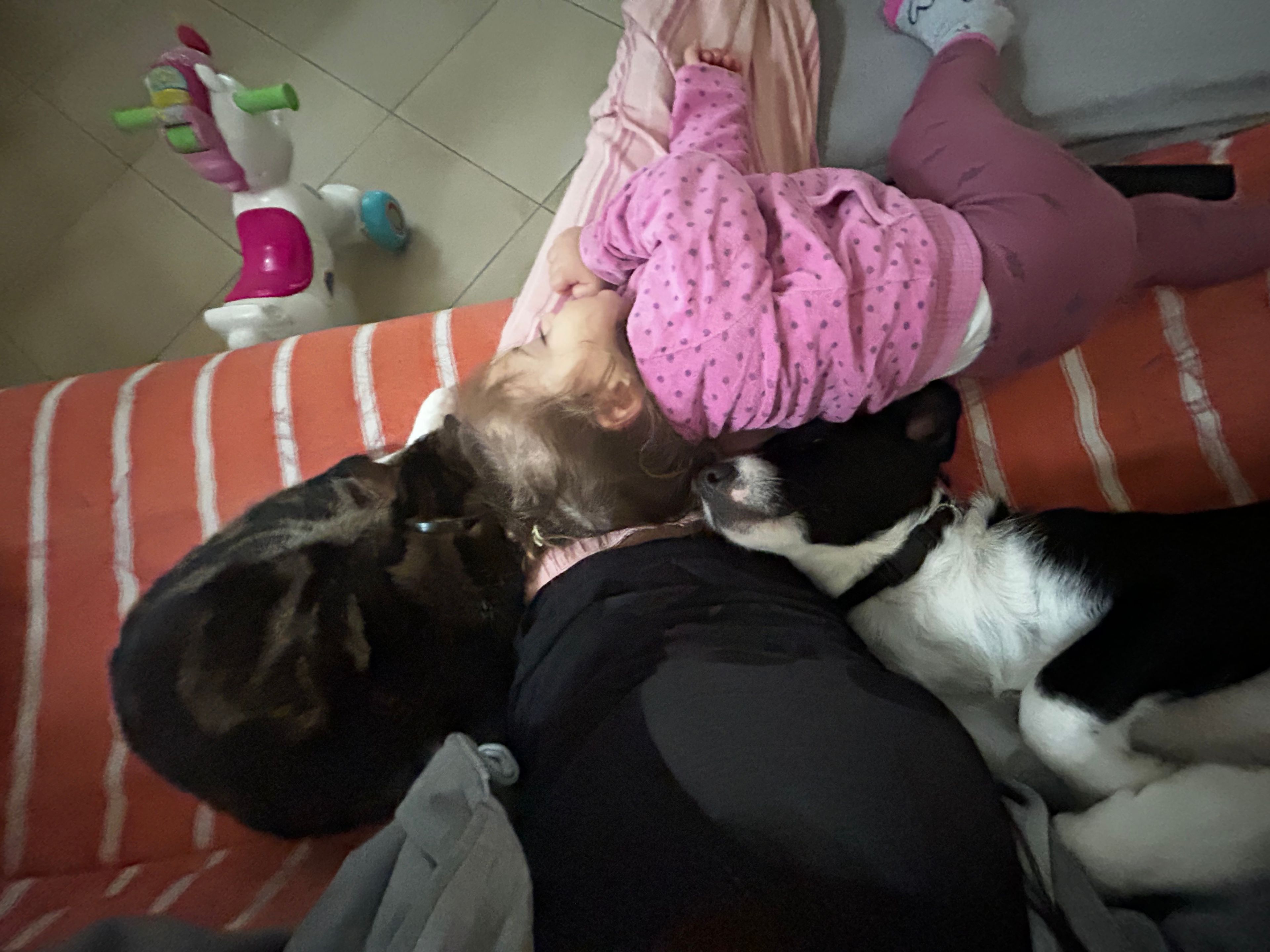 image-11